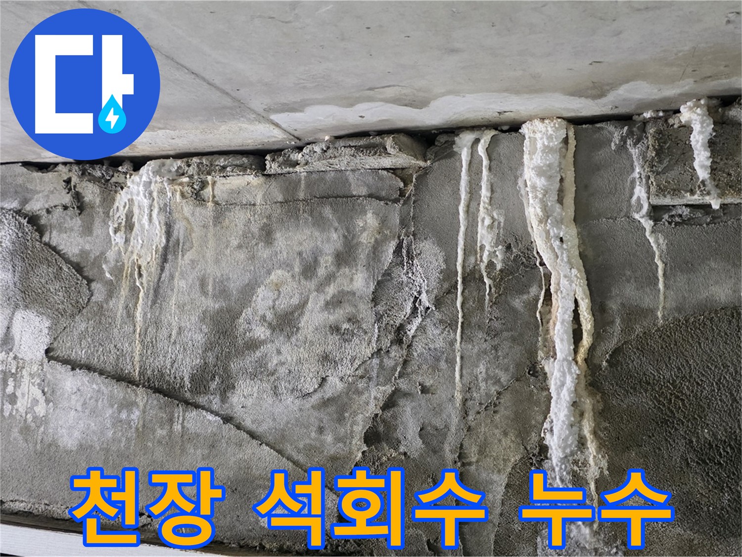 운중동 누수 - 천장 석회수 샤워, 건물 붕괴 경고