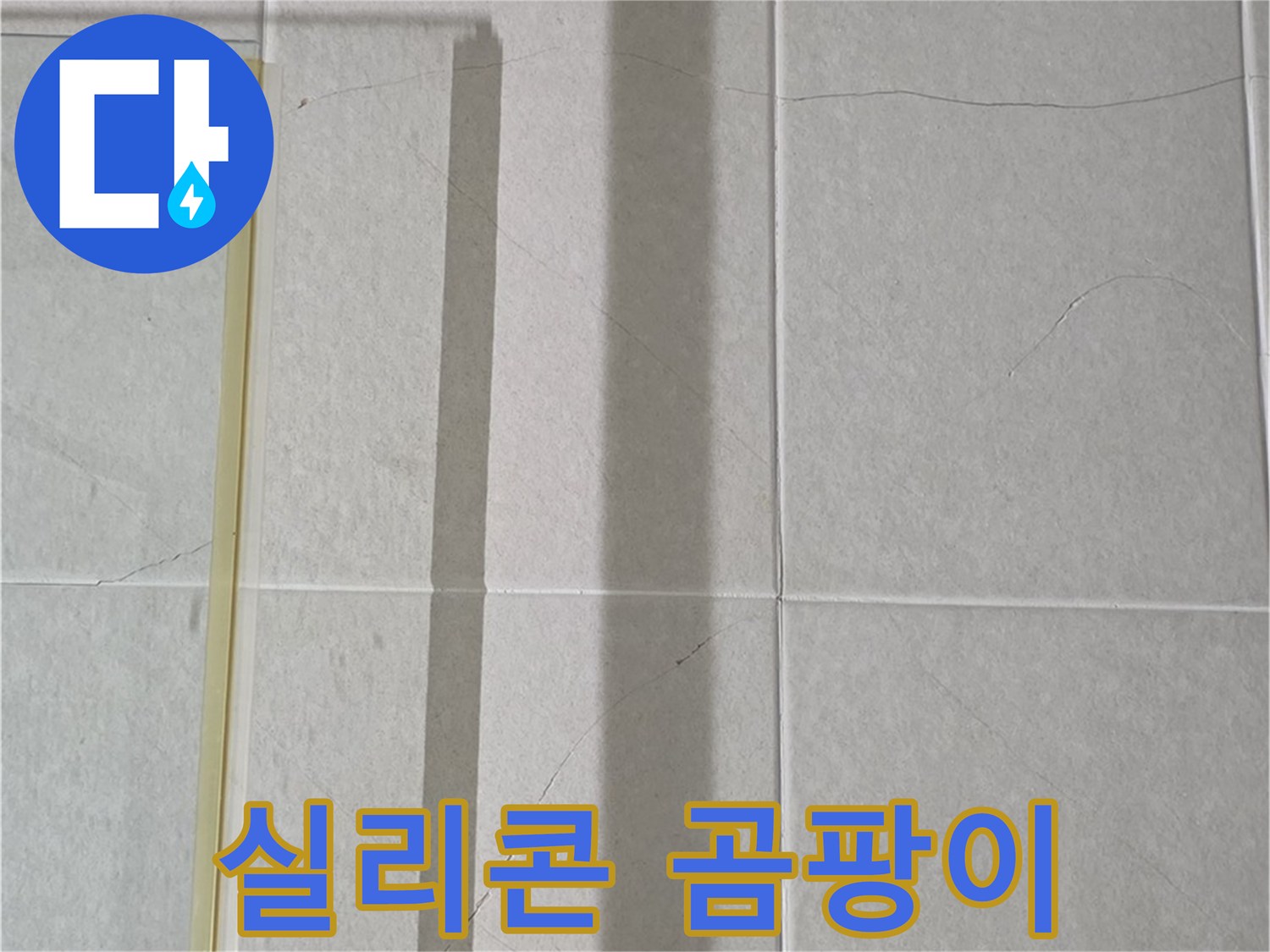 운중동 산운마을 샤워부스 - 벽면 타일 틈새 누수, 실리콘 오염 및 곰팡이 발생