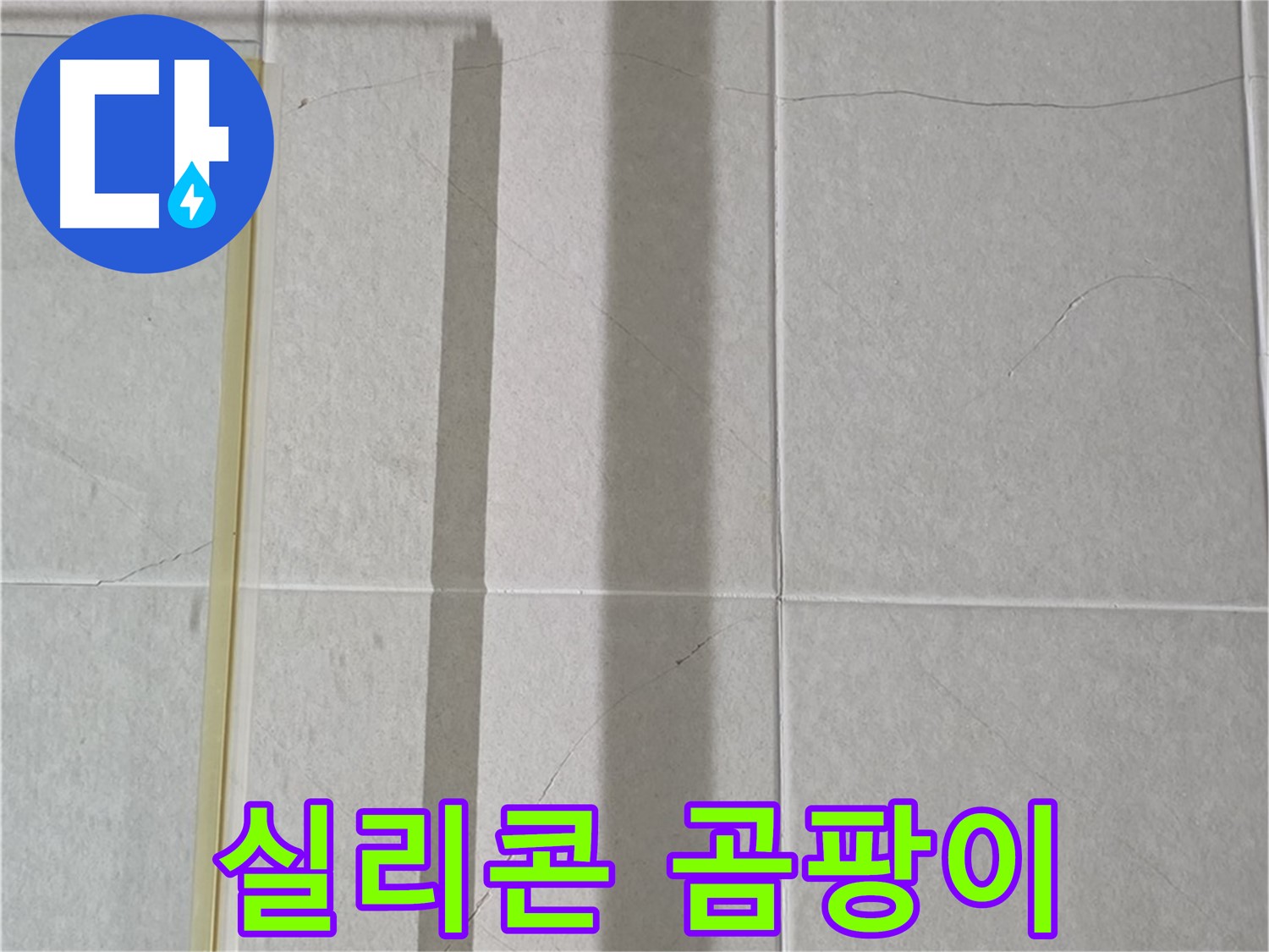 운중동 산운마을 샤워부스 - 벽면 타일 틈새 누수, 실리콘 오염 및 곰팡이 발생
