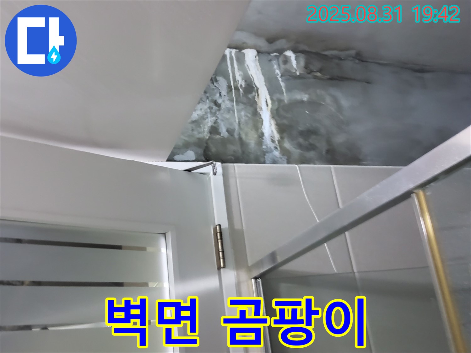 운중동 산운마을 - 샤워부스 옆 벽면 곰팡이 - 방수층 손상 의심 및 곰팡이 제거 작업!