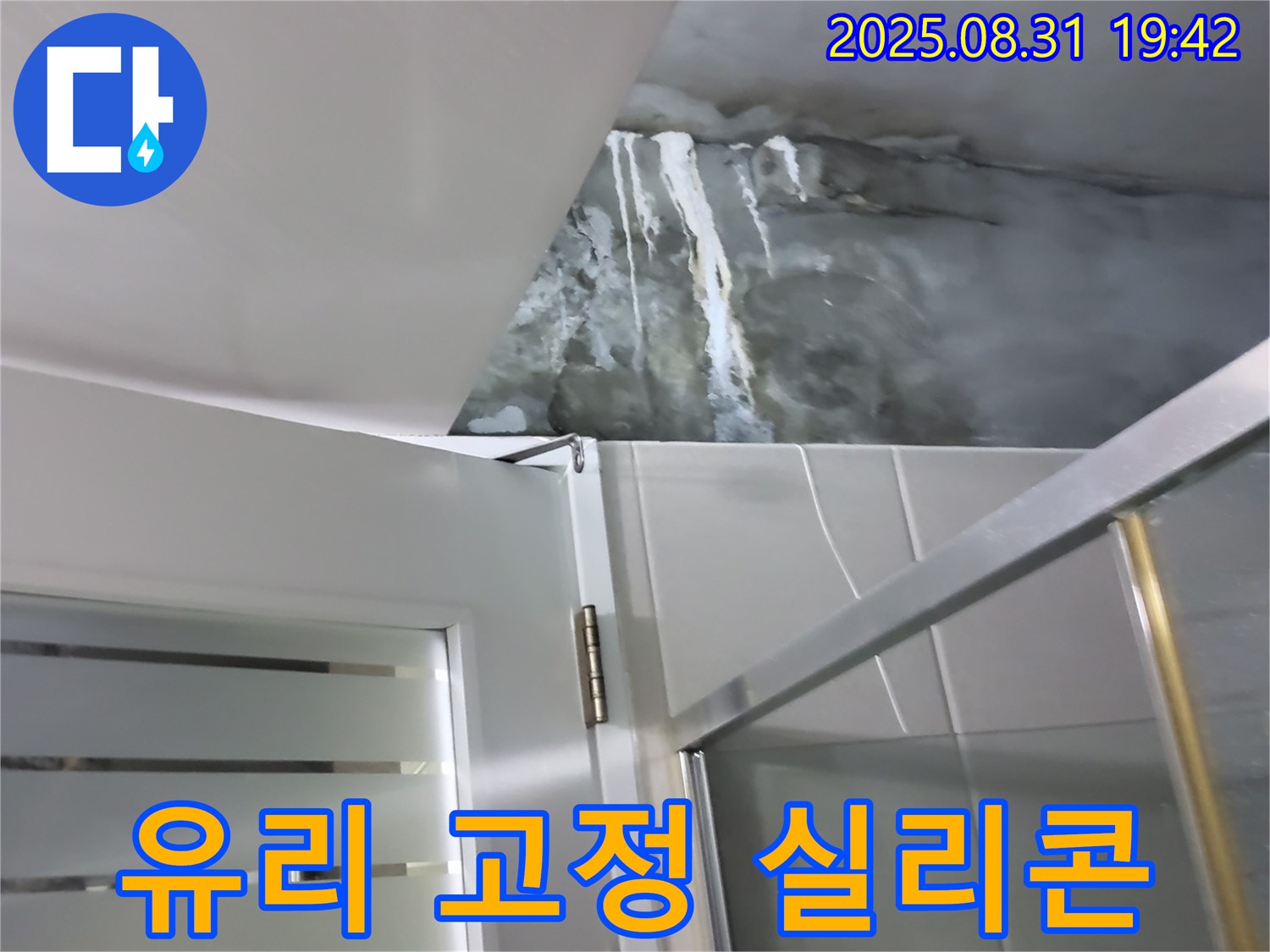 운중동 산운마을 - 샤워부스 유리 고정 실리콘 변색 - 곰팡이 발생 및 실리콘 재시공!