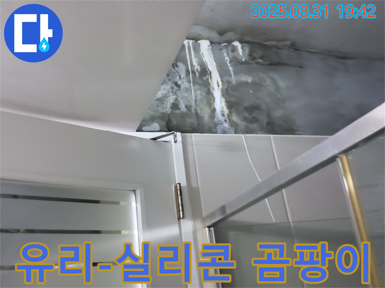 운중동 산운마을 - 샤워부스 유리와 실리콘 사이 곰팡이 - 곰팡이 제거 및 실리콘 재시공으로 깨끗하게!