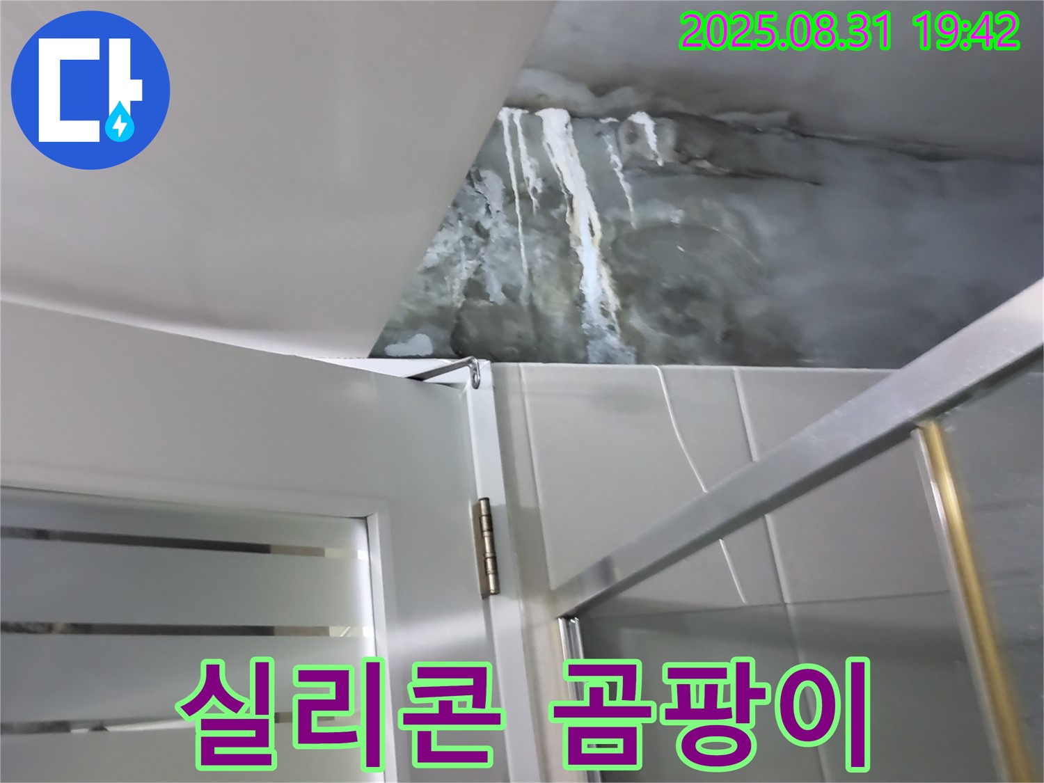 운중동 산운마을 - 샤워부스 하단 실리콘 곰팡이 - 제거 및 항균 실리콘 시공으로 깨끗하게!