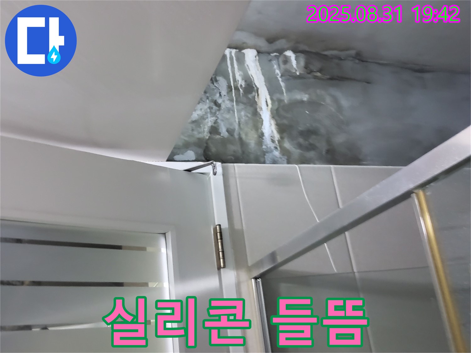 운중동 산운마을 - 샤워부스 하단 실리콘 들뜸 - 곰팡이 제거 후 실리콘 재시공!