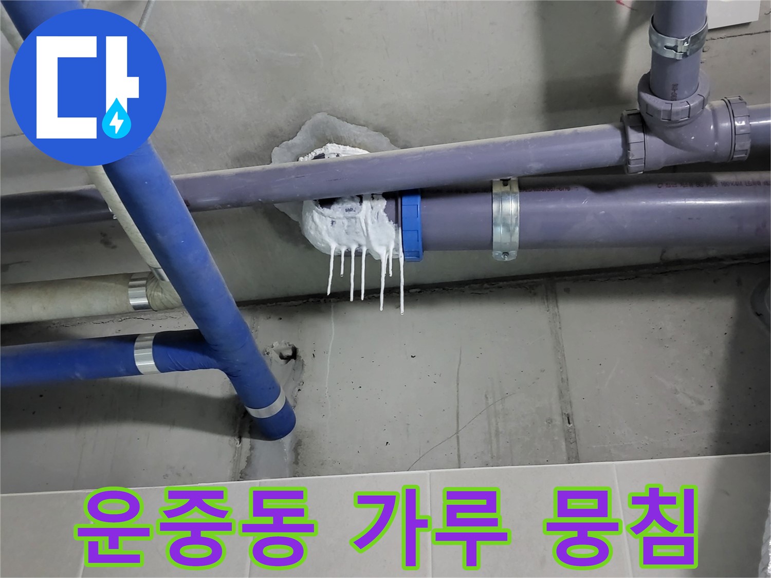 운중동 하수 누수 - 하얀 가루 뭉침