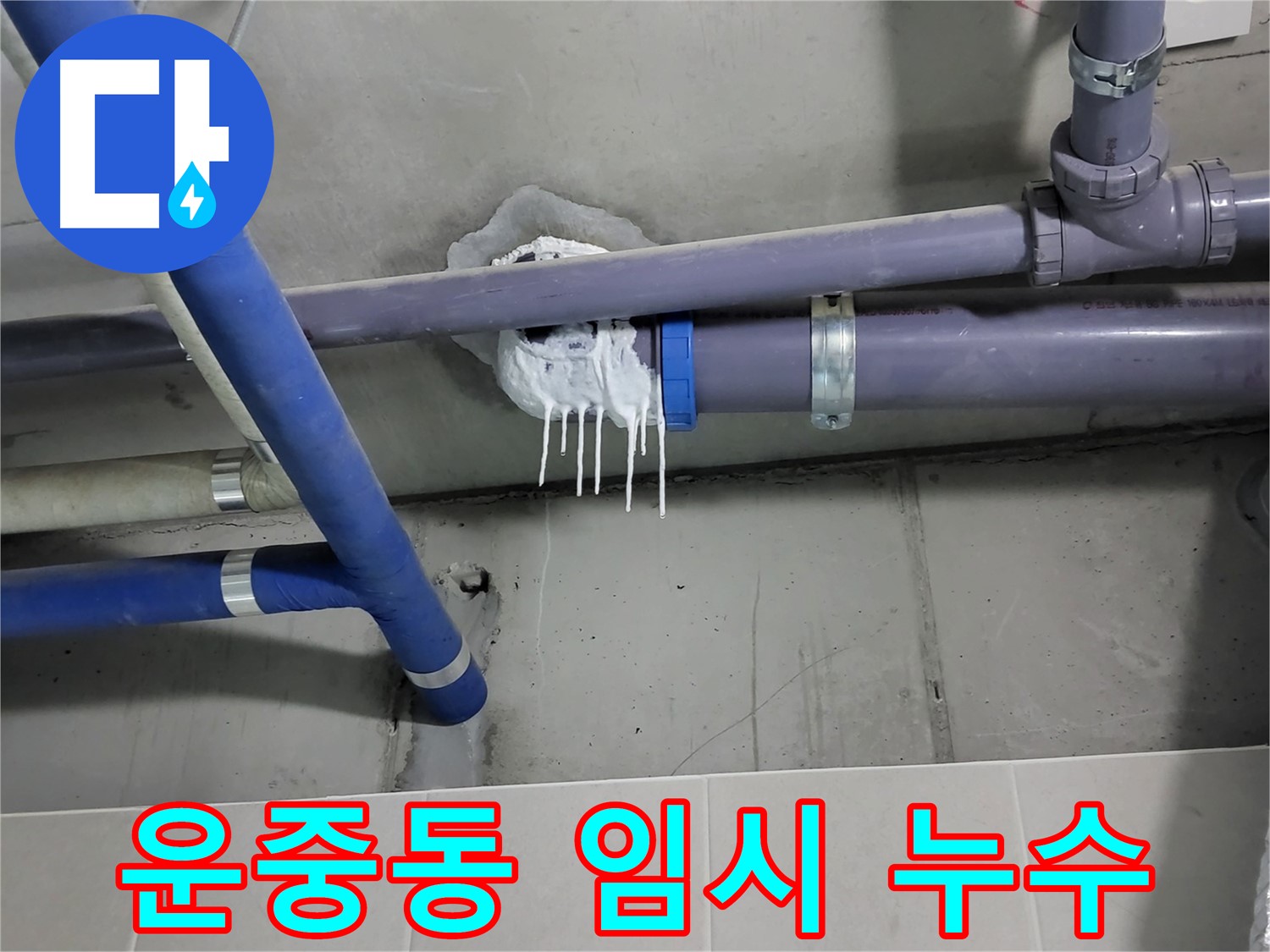 운중동 하수 배관 누수 - 임시 조치 부위에서 재발