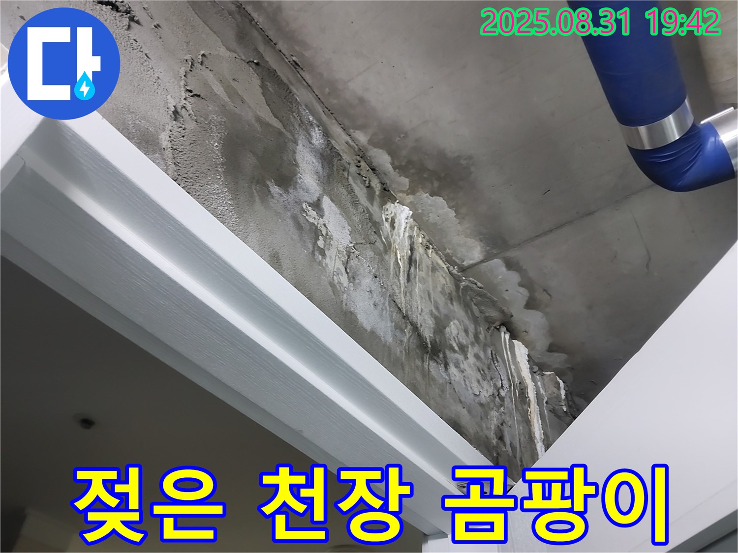 젖은 천장 - 곰팡이 - 젖어있는 천장, 곰팡이 발생 직전의 위험한 상황입니다.