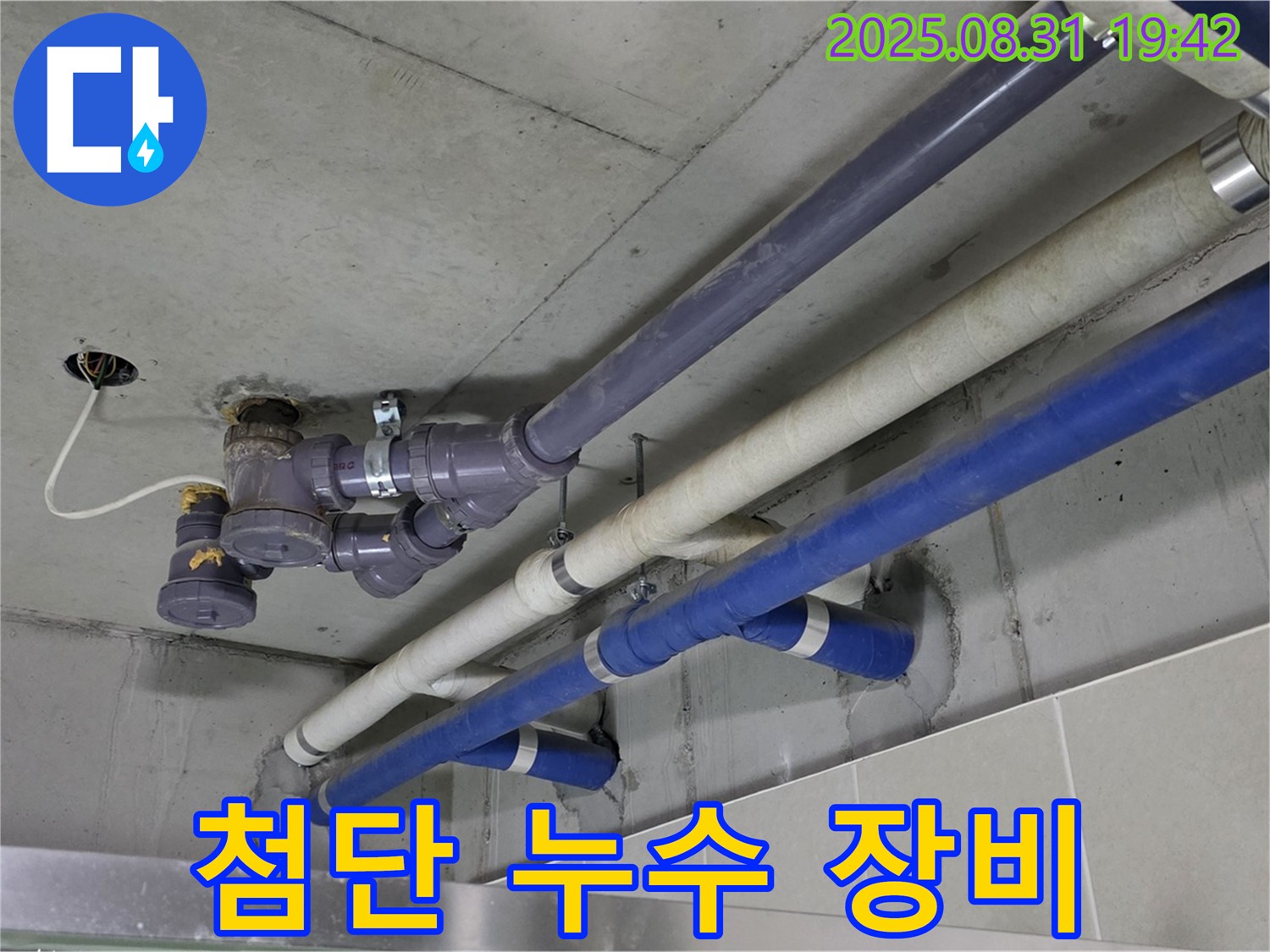 첨단 누수 장비 - 정확한 누수 위치 탐색