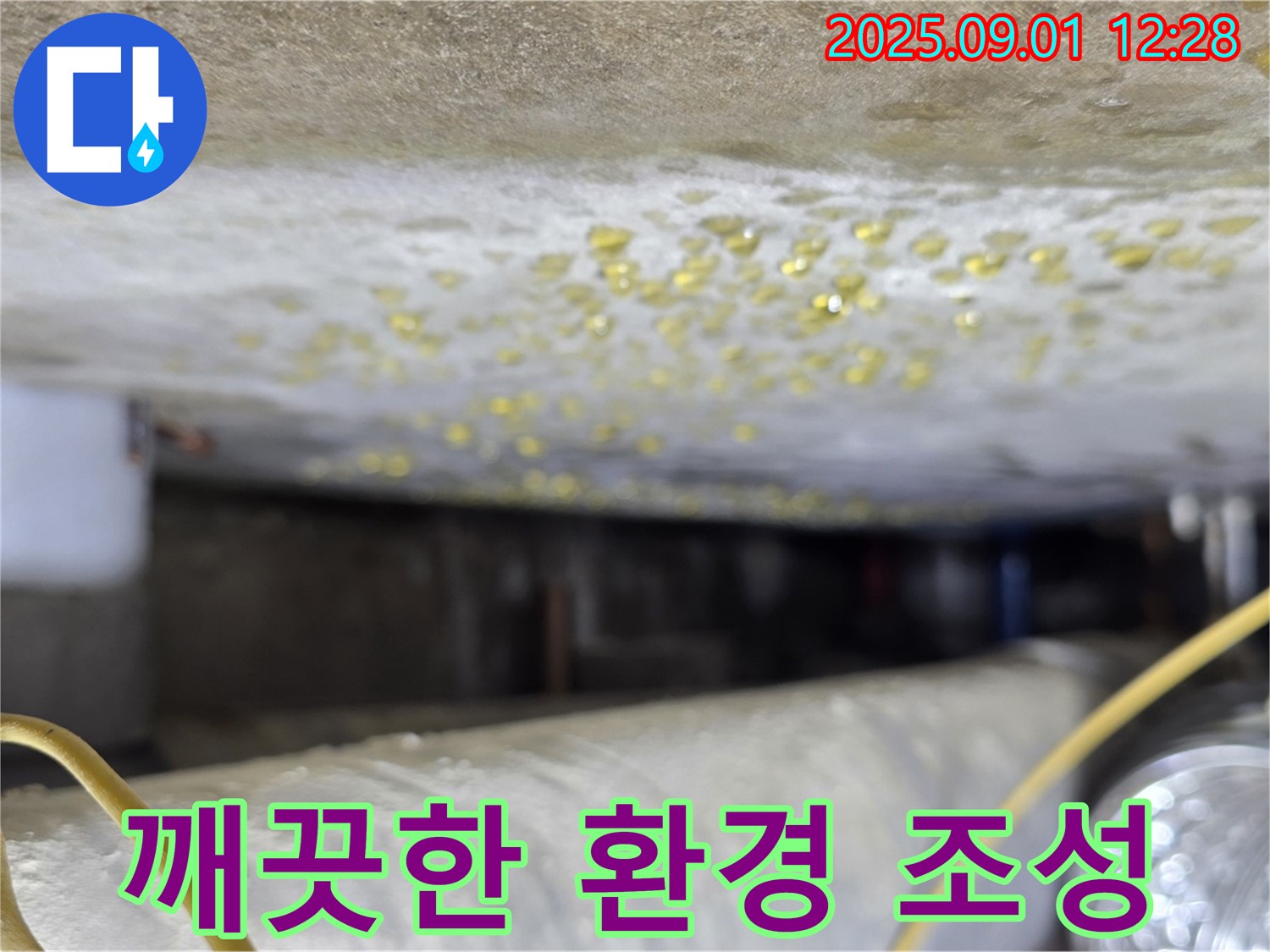 광진구 능동 아성빌라트 - 결로와 곰팡이 제거 후 깨끗해진 천장