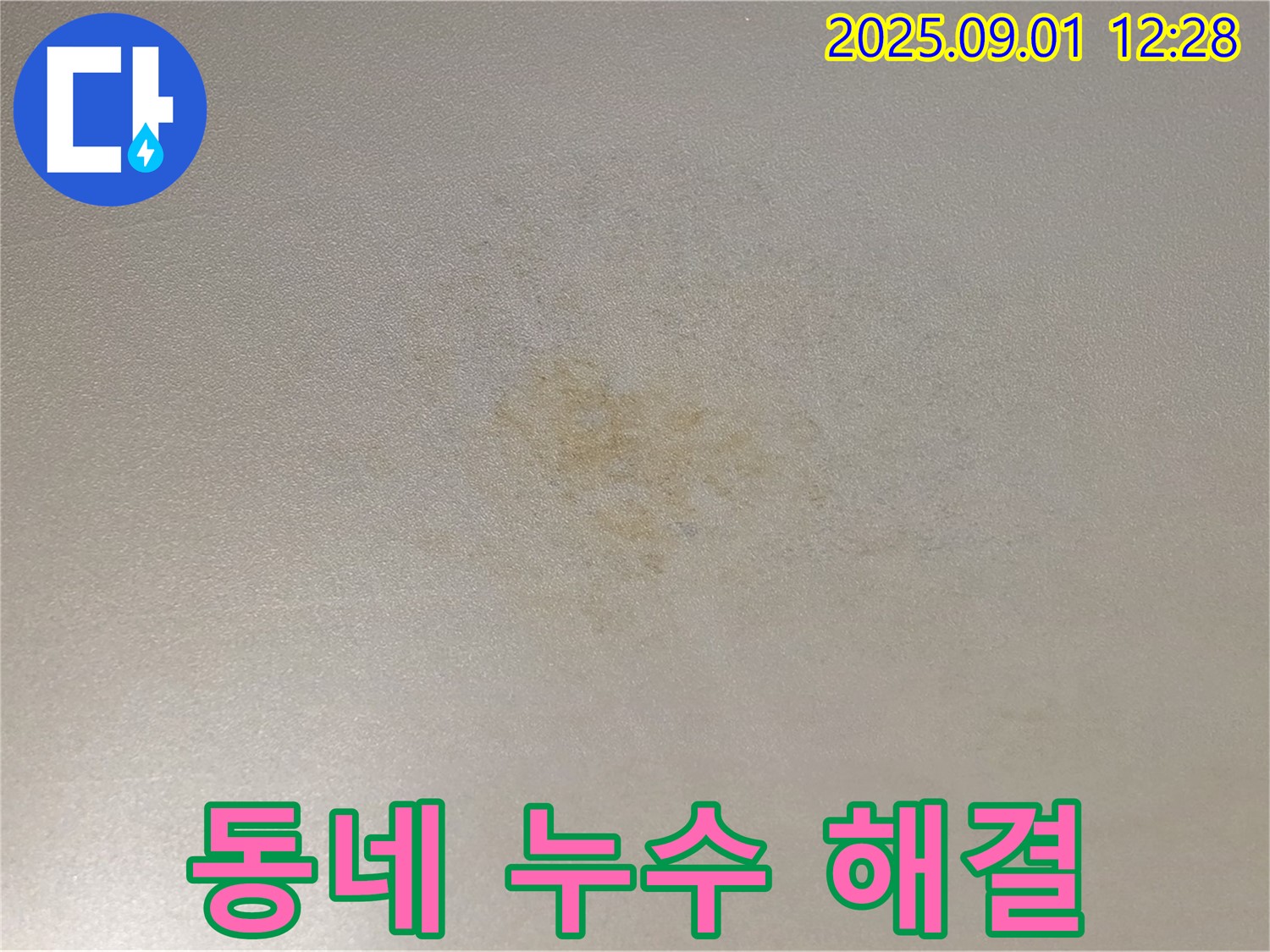 광진구 능동 아성빌라트 동네 누수 해결 전문가