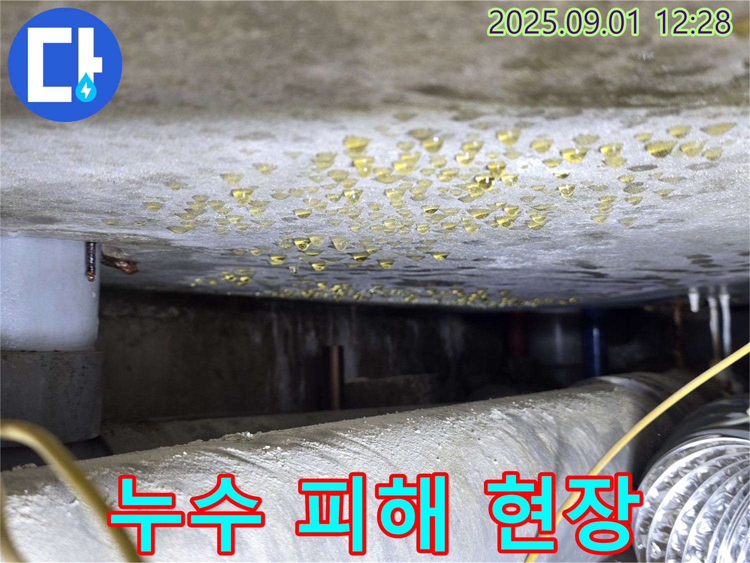 광진구 빌라 누수 피해 현장 - 꼼꼼한 점검과 확실한 시공