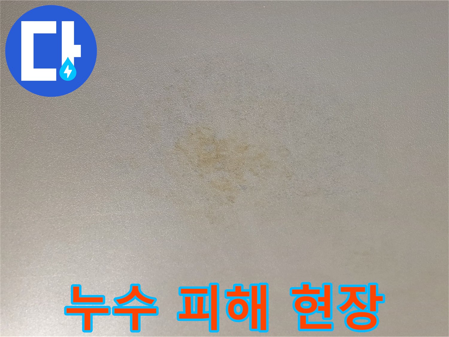 누수 피해 현장 - 광진구 능동 누수 탐지 및 복구 전문