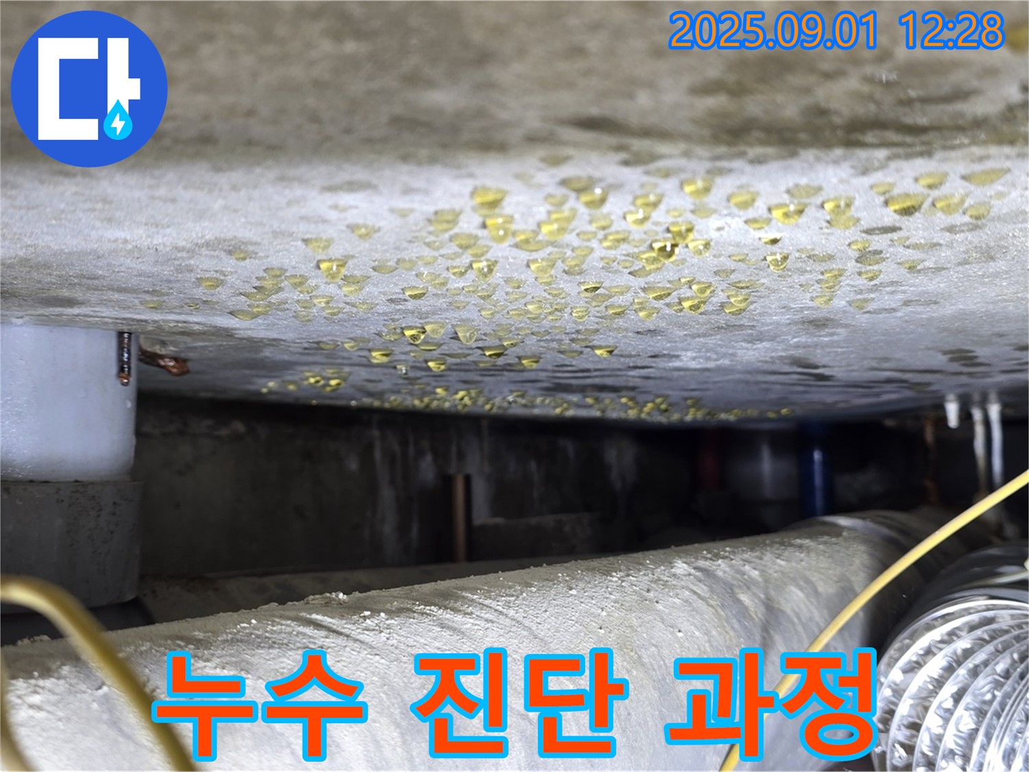 능동 빌라 누수 진단 과정 - 완벽한 진단과 책임 시공