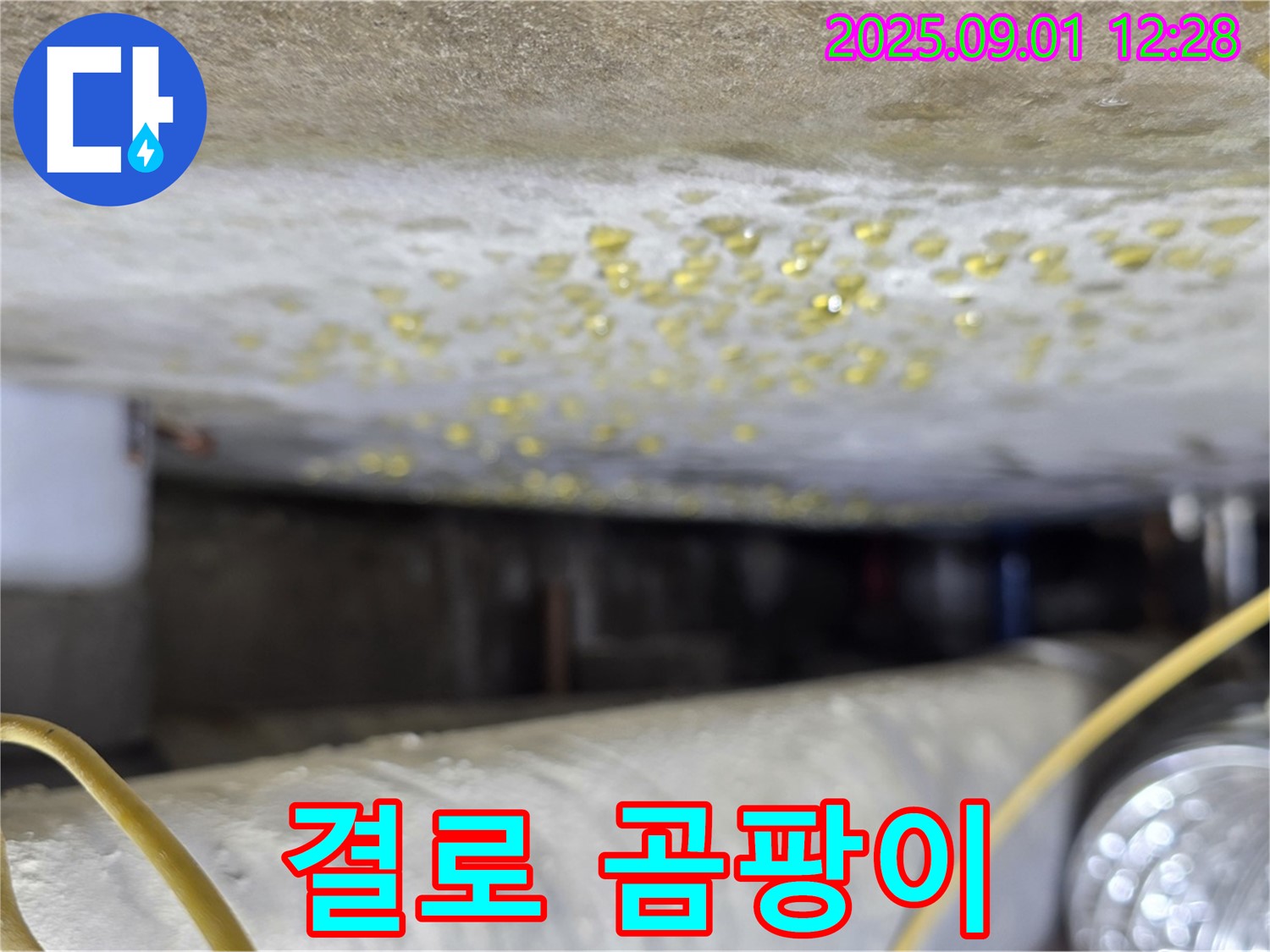 능동 아성빌라트 - 결로와 곰팡이로 인한 누수 문제