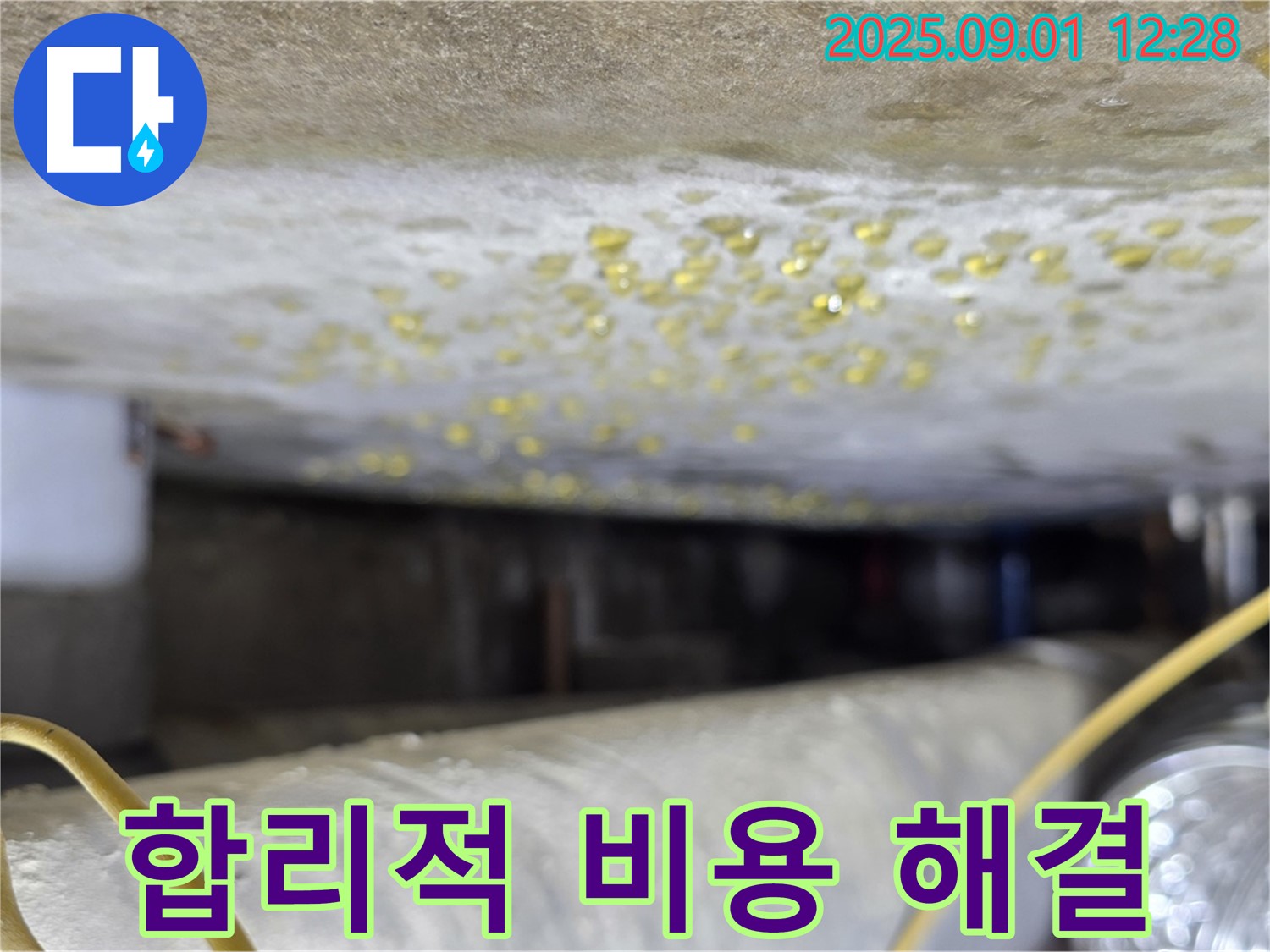 능동 아성빌라트 - 합리적인 비용으로 결로 누수 해결
