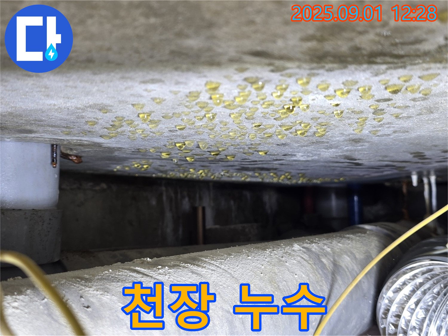 능동 천장 누수 - 누수 고민 해결, 완벽 시공