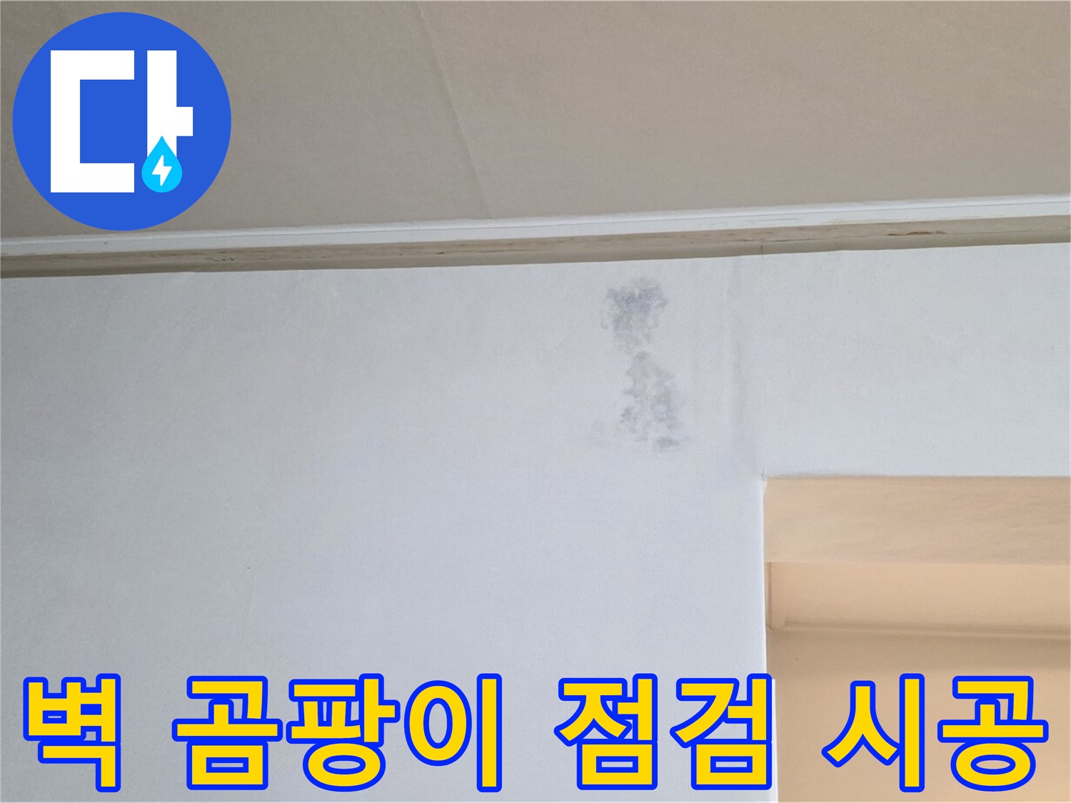 벽 곰팡이 - 꼼꼼한 점검과 확실한 시공으로 곰팡이 문제를 해결합니다.