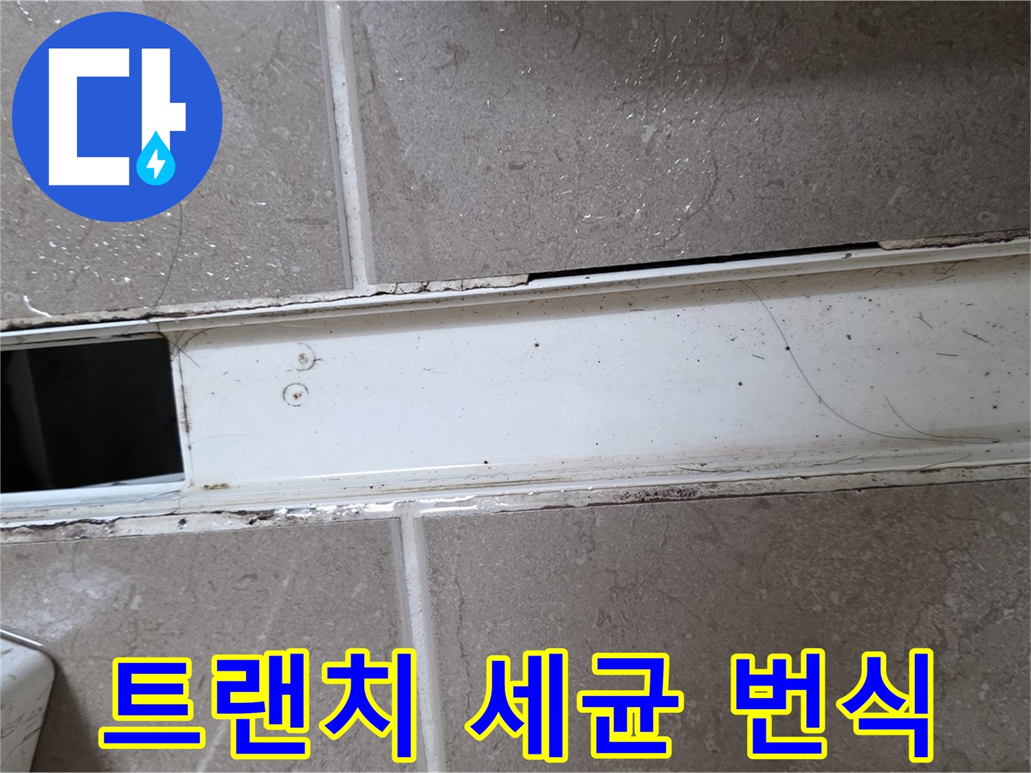 심하게 오염된 욕실 트랜치 사진 - 세균