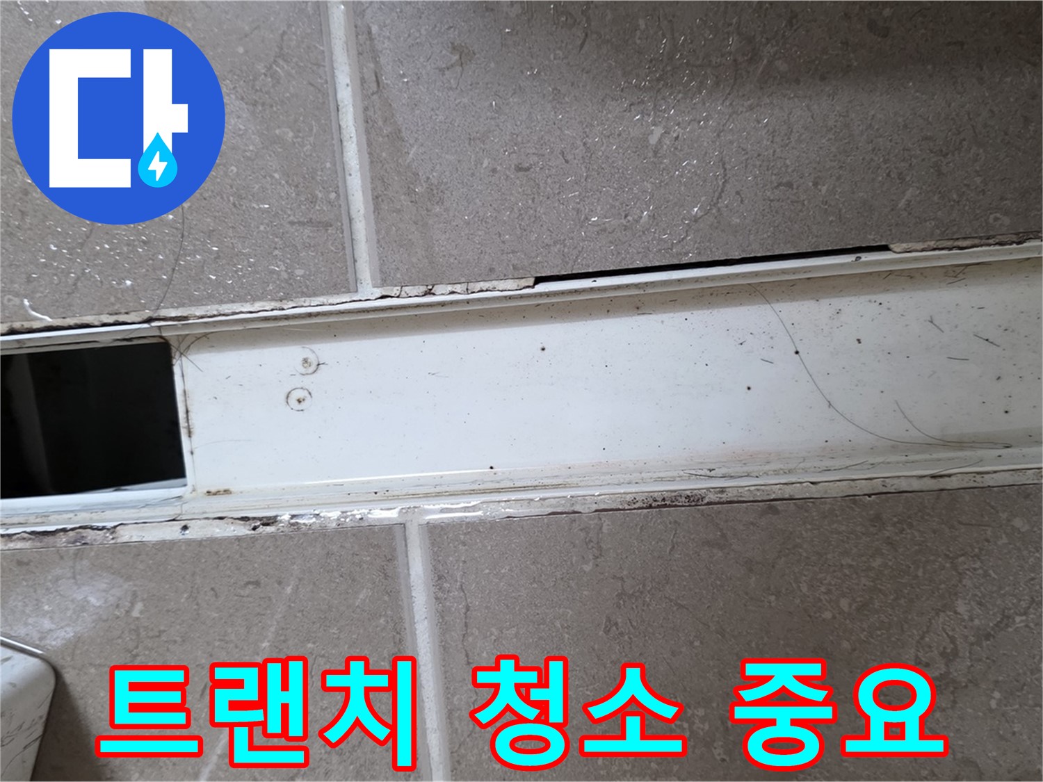 오염된 욕실 트랜치 - 청소 필요