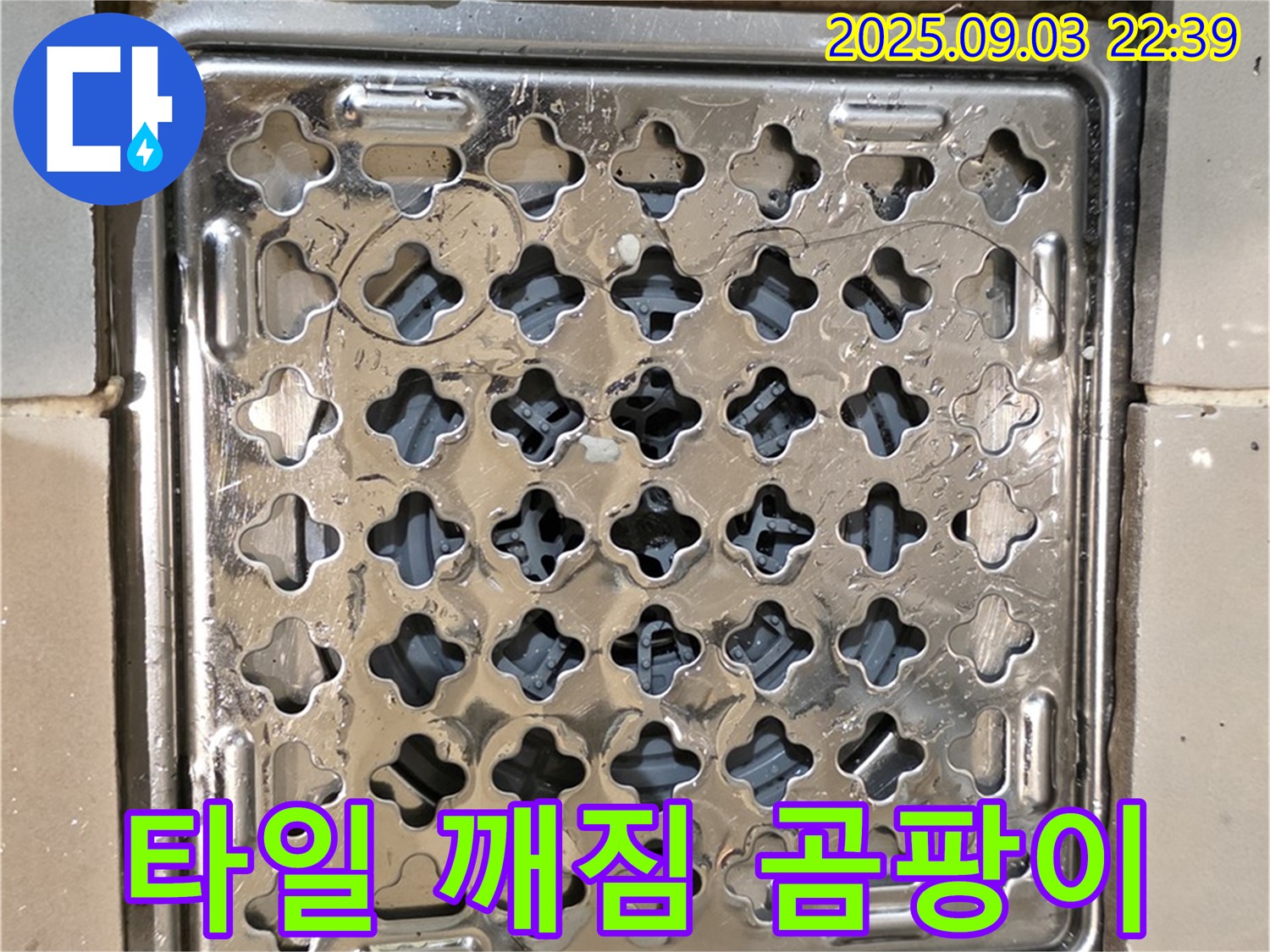 용산동2가 상가 욕실 - 타일 깨짐과 곰팡이로 인해 누수 발생