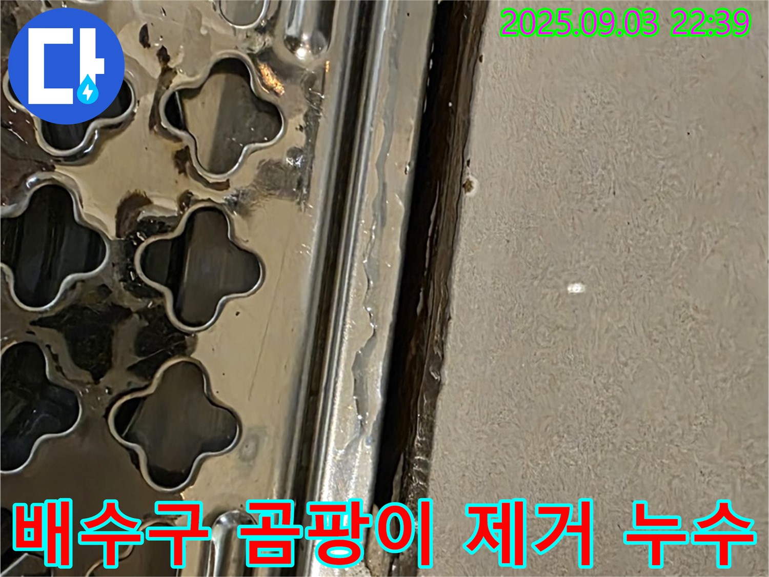 용산동2가 욕실 배수구 주변 곰팡이 제거 - 곰팡이 제거 후 누수 방지 조치