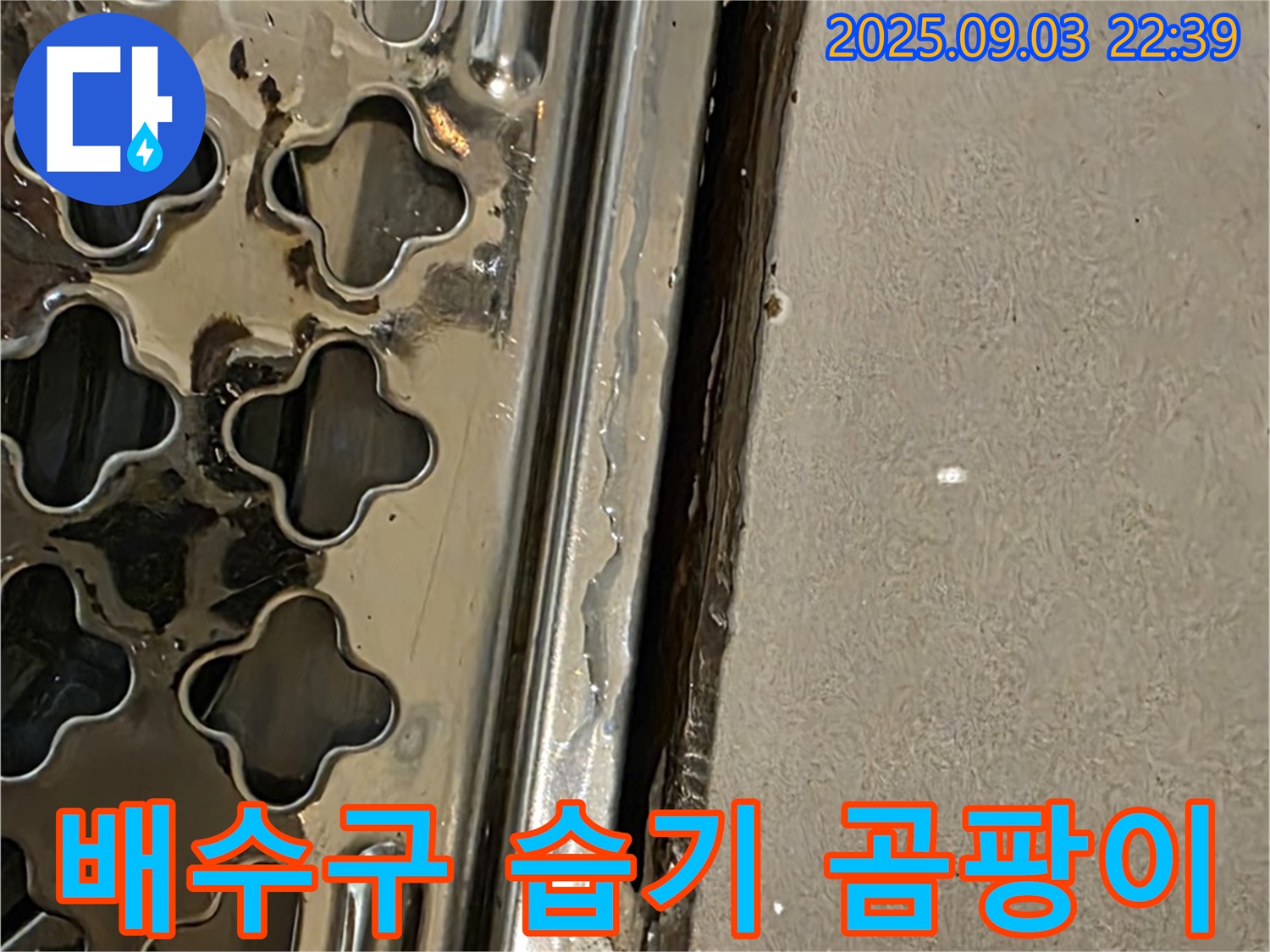 용산동2가 욕실 배수구 주변 습기 - 습기 및 곰팡이 발생