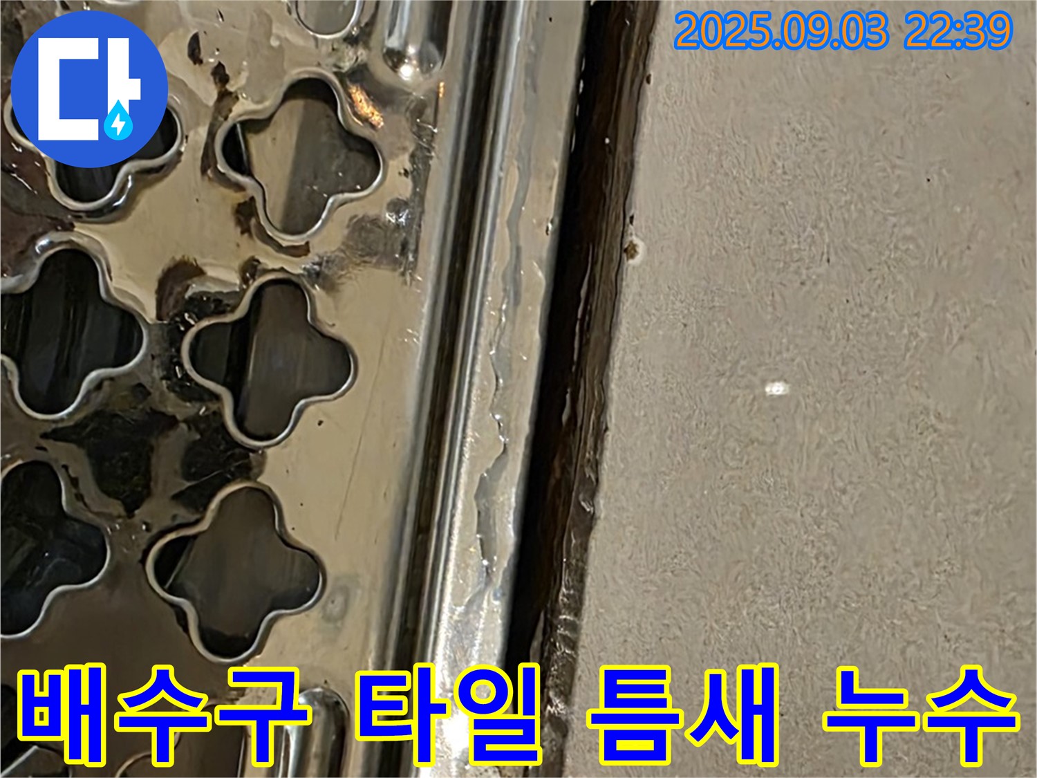 용산동2가 욕실 배수구 주변 타일 틈새 - 타일 틈새 벌어짐으로 인한 누수
