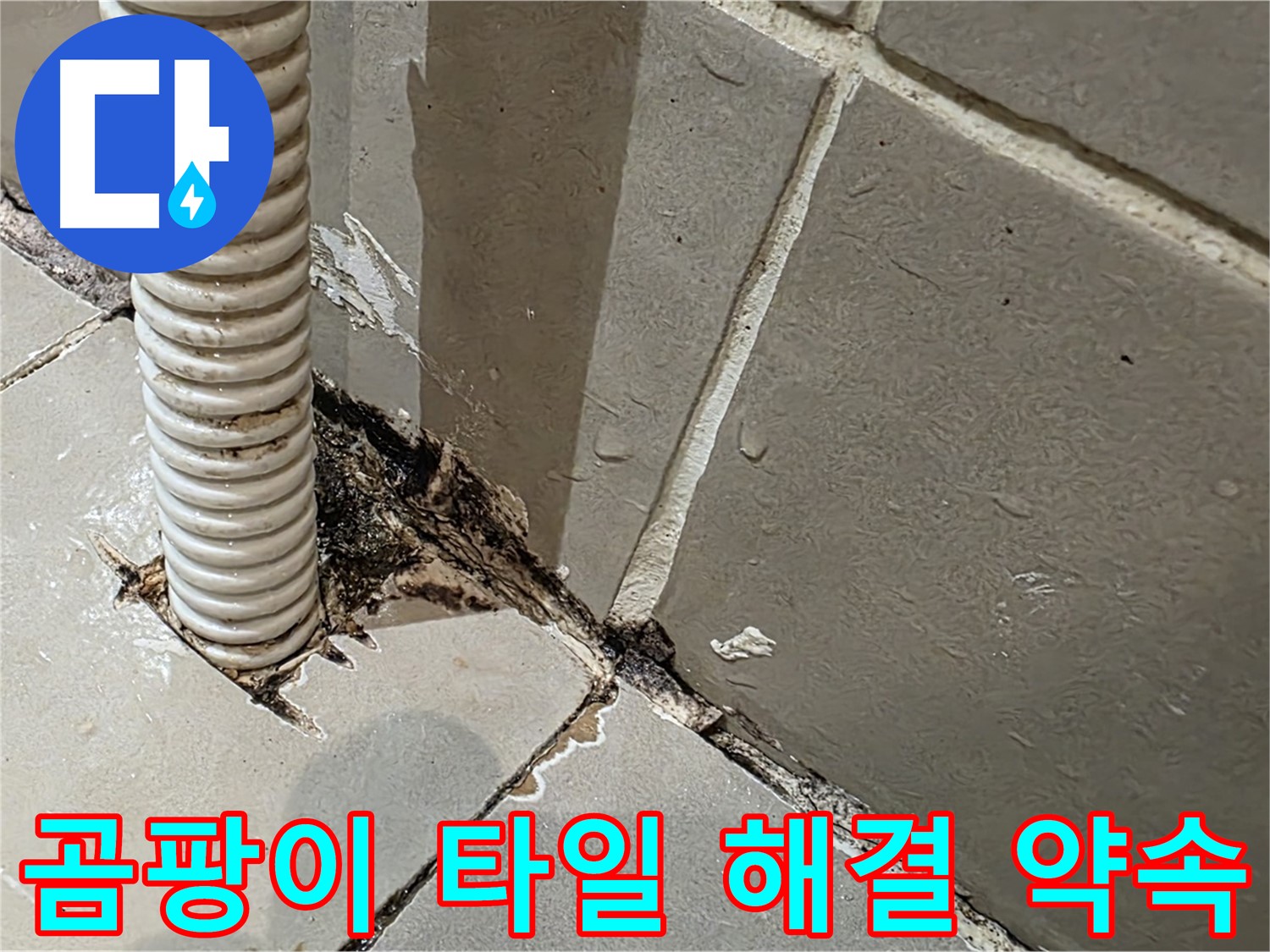 한강로2가 누수 - 배관 주변 곰팡이와 타일 손상 완벽 해결 약속