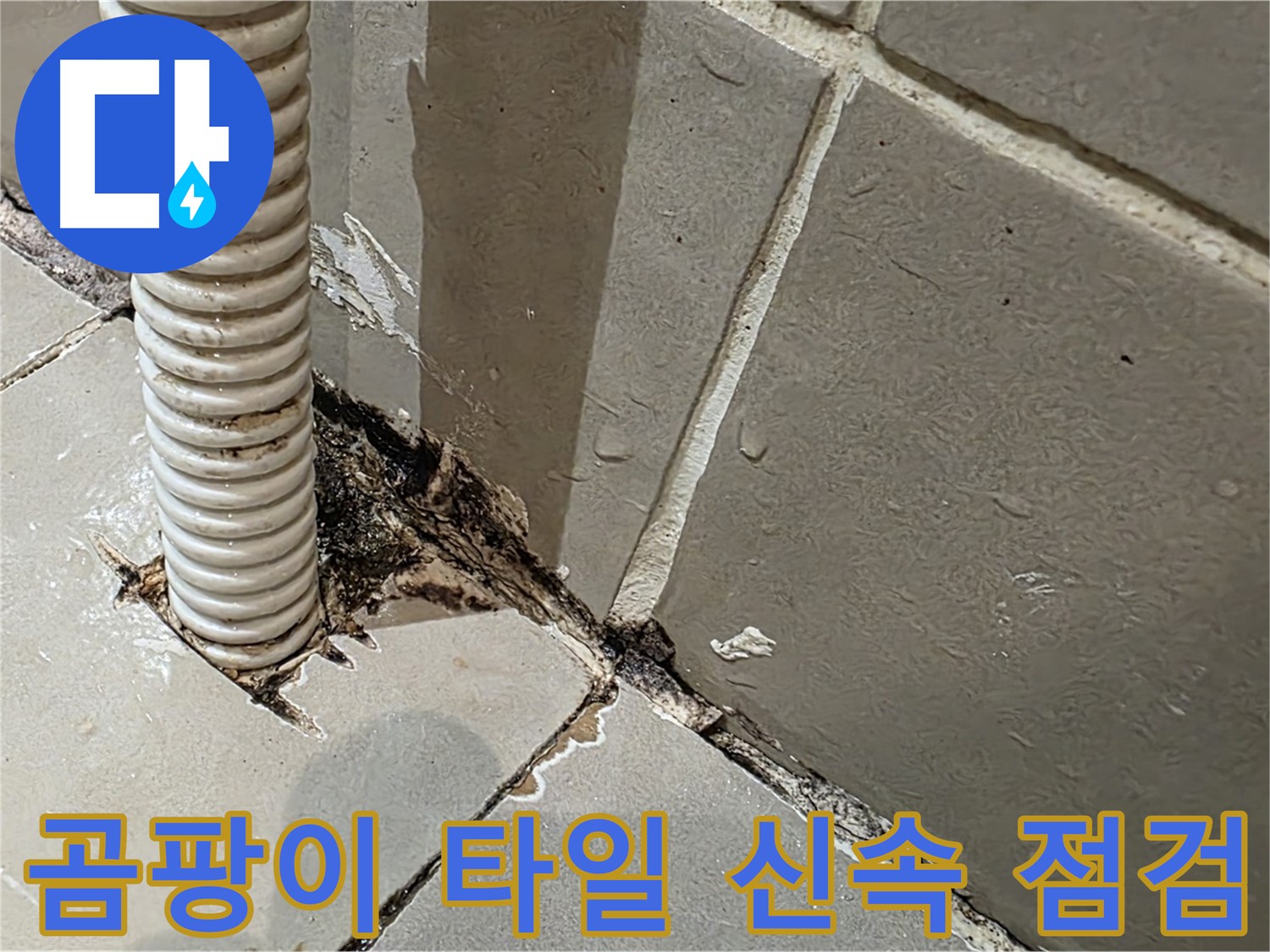 한강로2가 상가 누수 - 배관 주변 곰팡이와 타일 손상, 신속한 점검 필요