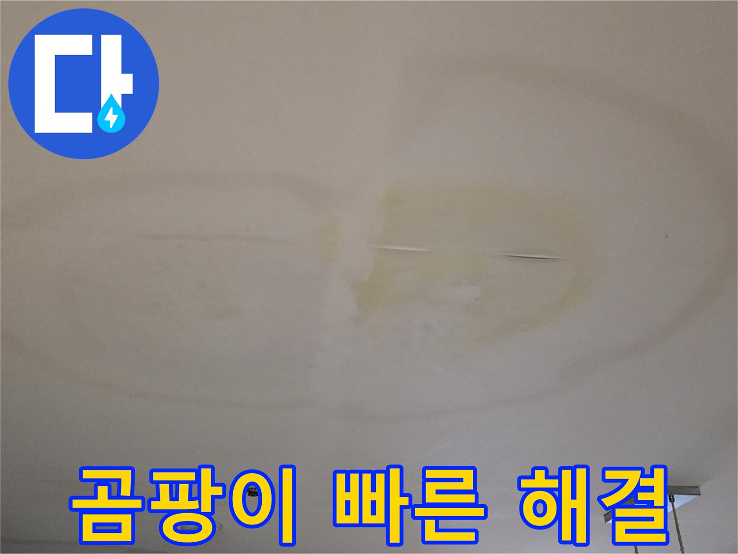곰팡이 발생 전 - 빠른 누수 해결