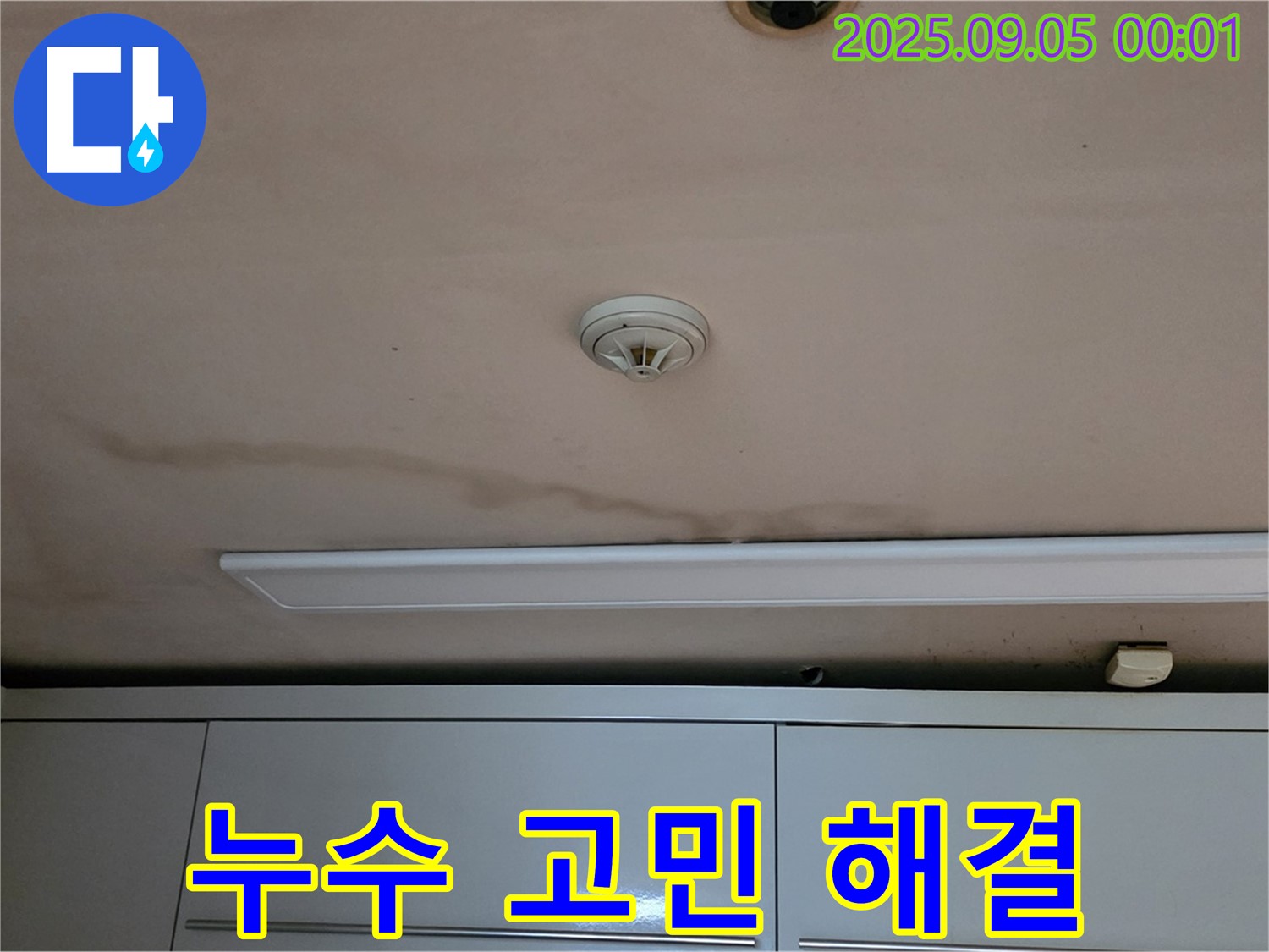 누수 고민 해결 - 전문가의 도움