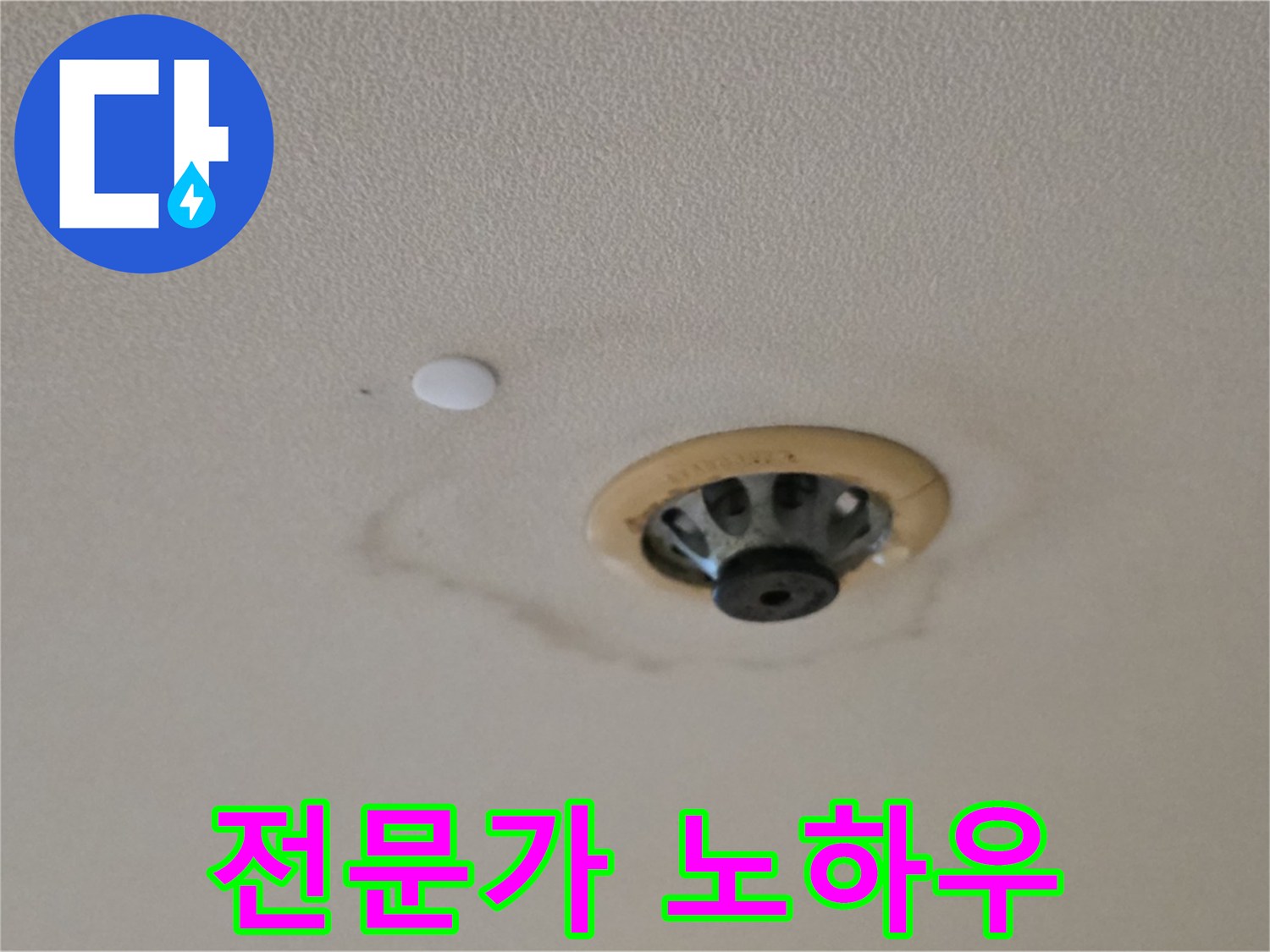 스프링클러 누수 전문가 - 숙련된 기술