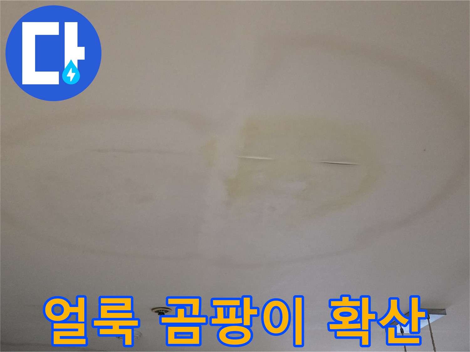 얼룩덜룩 천장 - 곰팡이 포자 확산