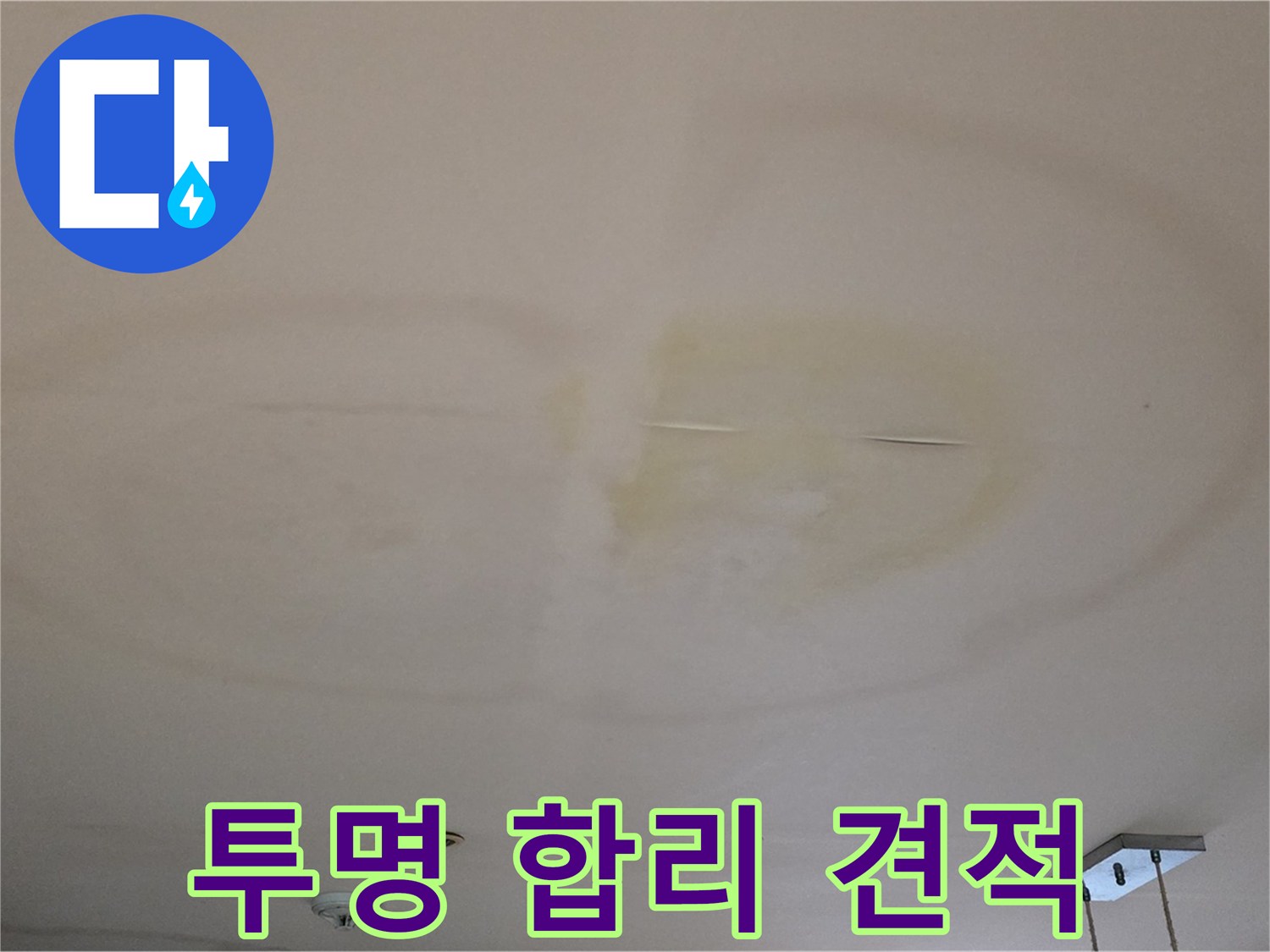 투명한 견적 - 합리적인 가격