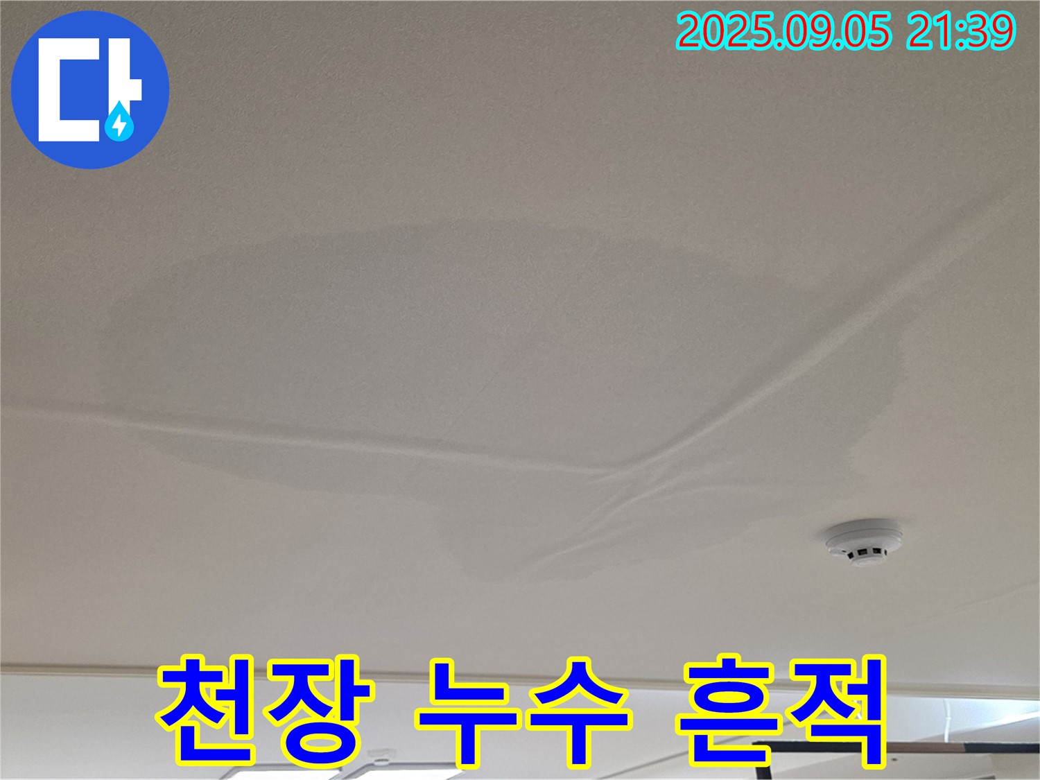 면목동 사가정 센트럴아이파크 천장 누수 - 젖어있는 천장