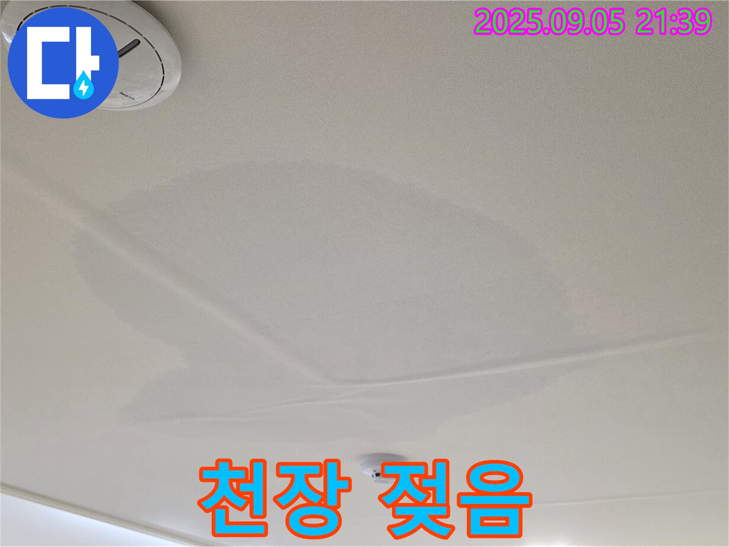 면목동 센트럴아이파크 천장 누수 - 젖어있는 천장