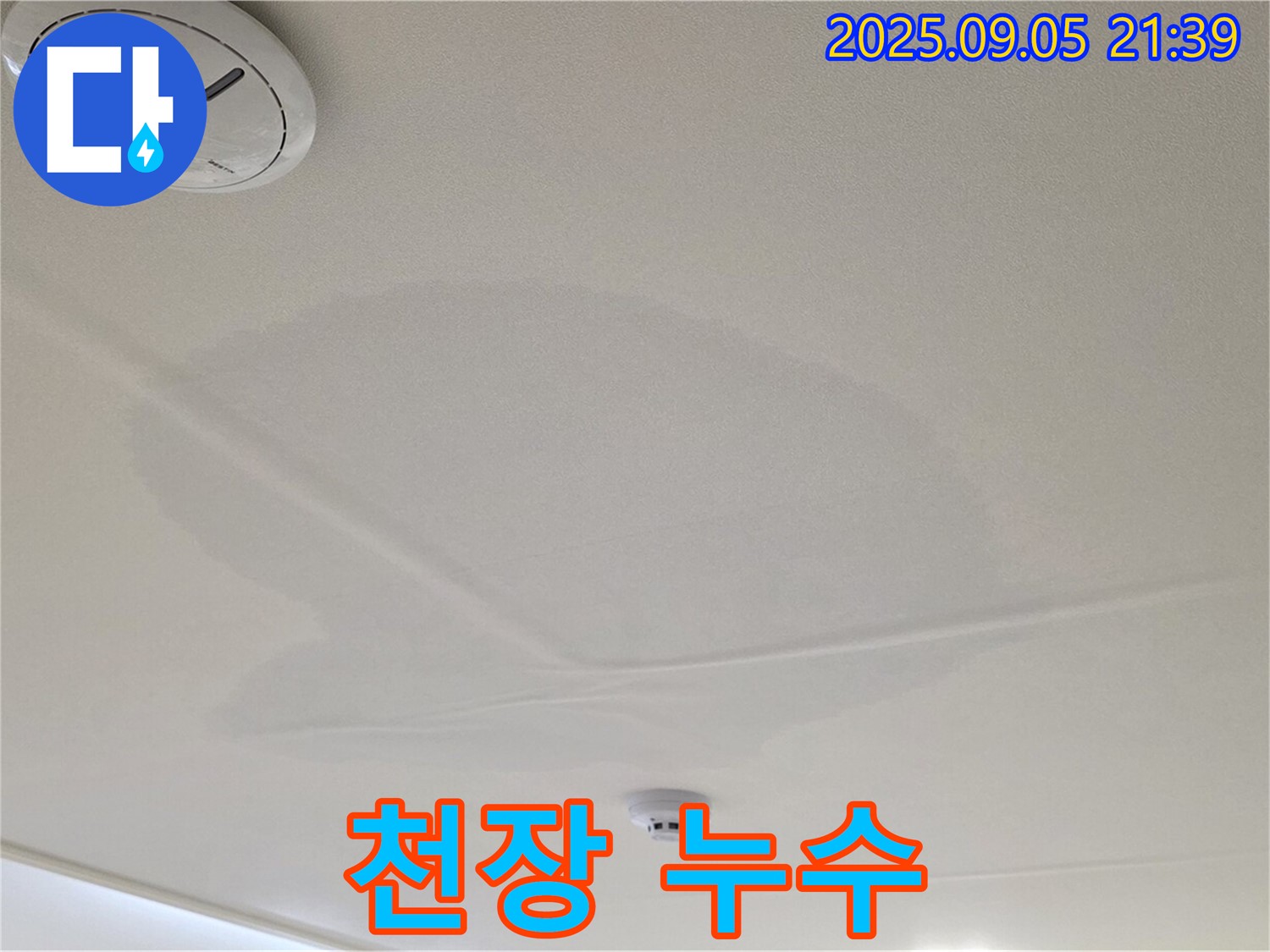 면목동 센트럴아이파크 천장 누수 - 젖어있는 천장