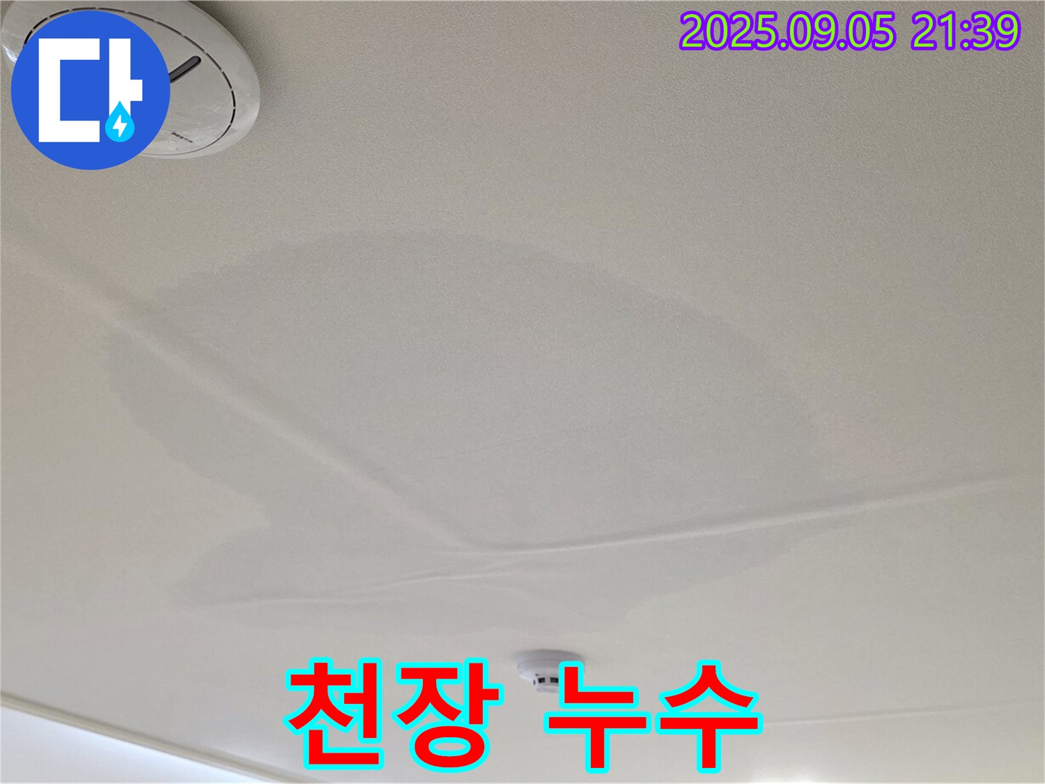 면목동 센트럴아이파크 천장 누수 - 젖어있는 천장