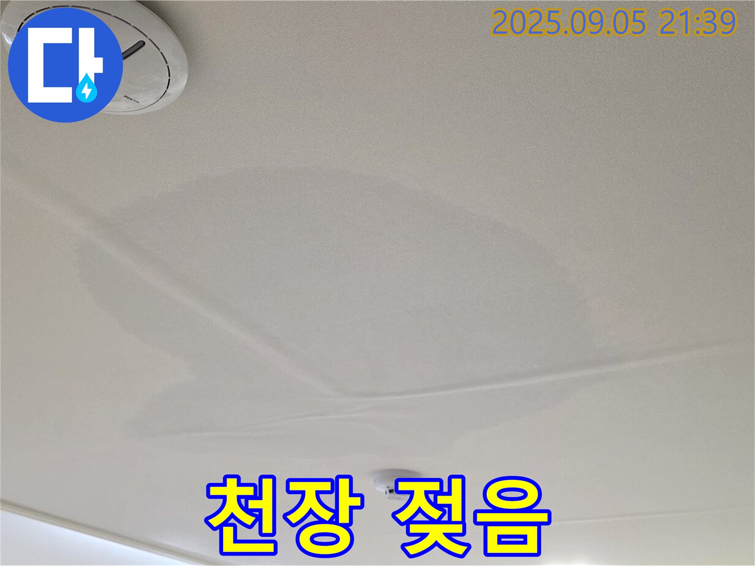 면목동 아파트 누수 - 젖어있는 천장, 누수 진행 중