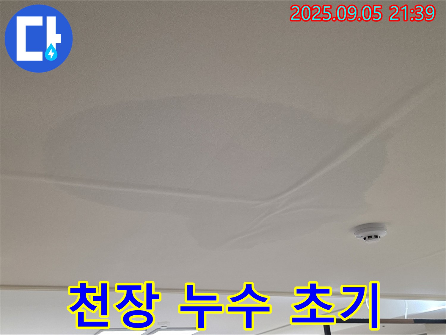 면목동 아파트 윗집 천장 누수 - 초기 누수 발견, 젖은 천장