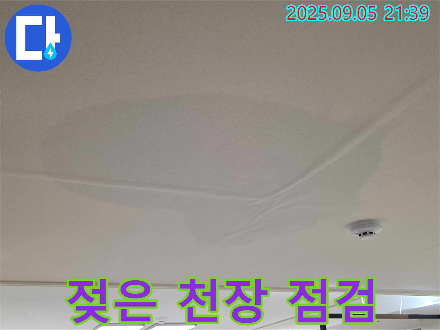 면목동 아파트 천장 누수 - 젖은 천장 긴급 점검