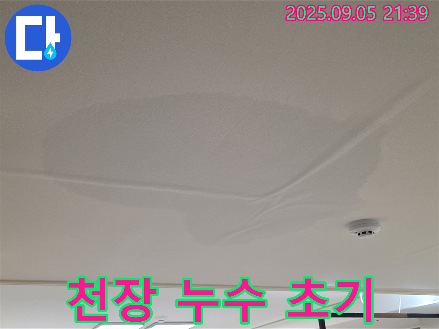 면목동 아파트 천장 누수 - 초기 누수 발견, 젖은 천장