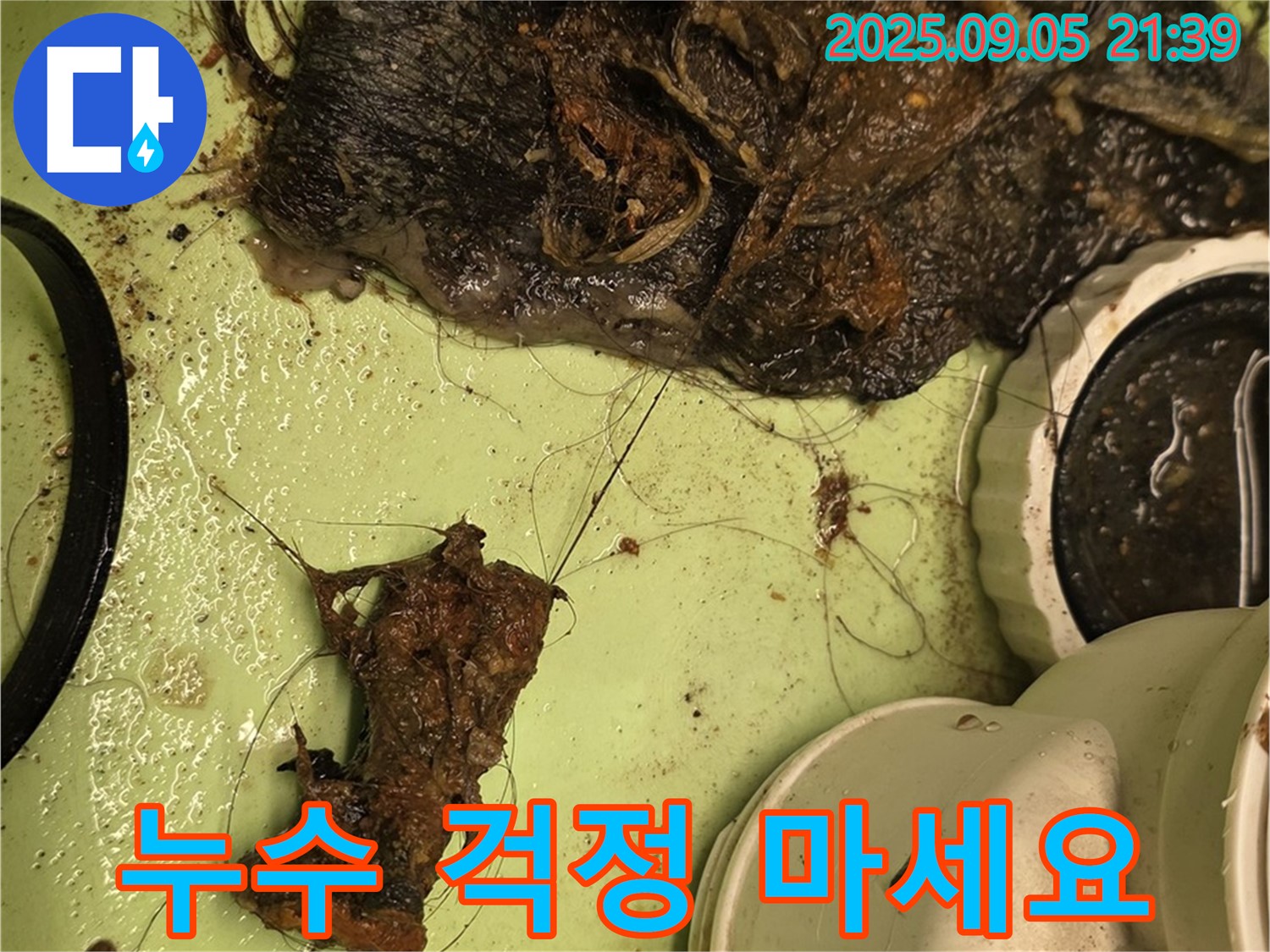 배수구 막힘 - 누수 걱정 끝 - 전문가