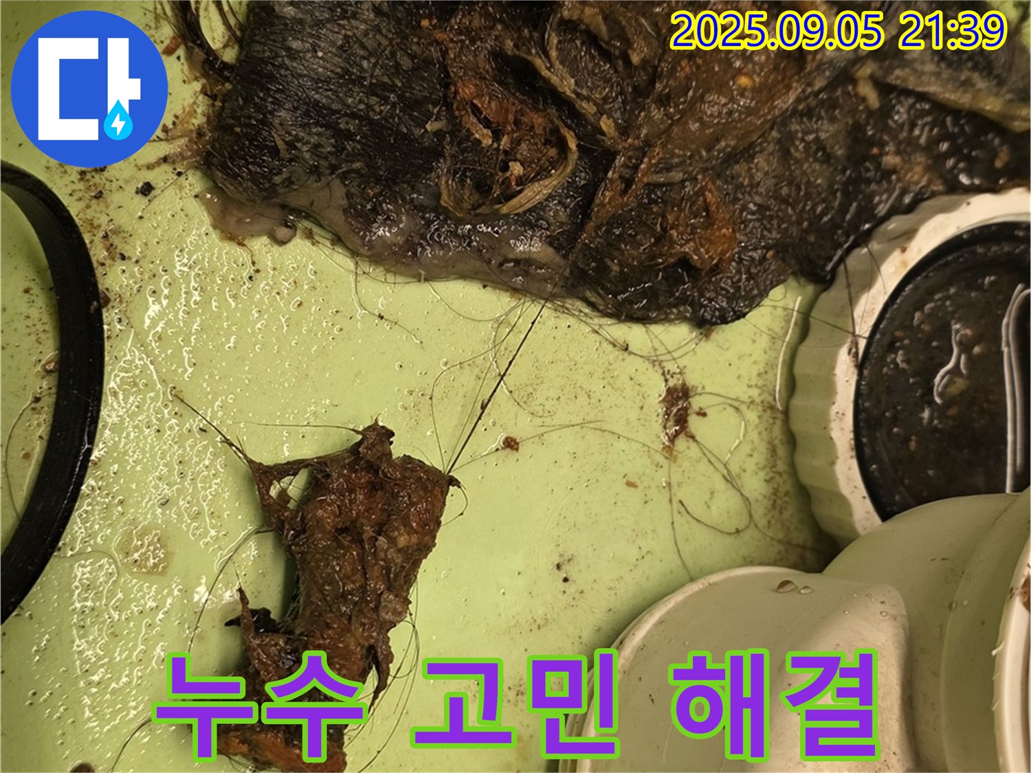 배수구 막힘 - 누수 고민 해결 - 전문가