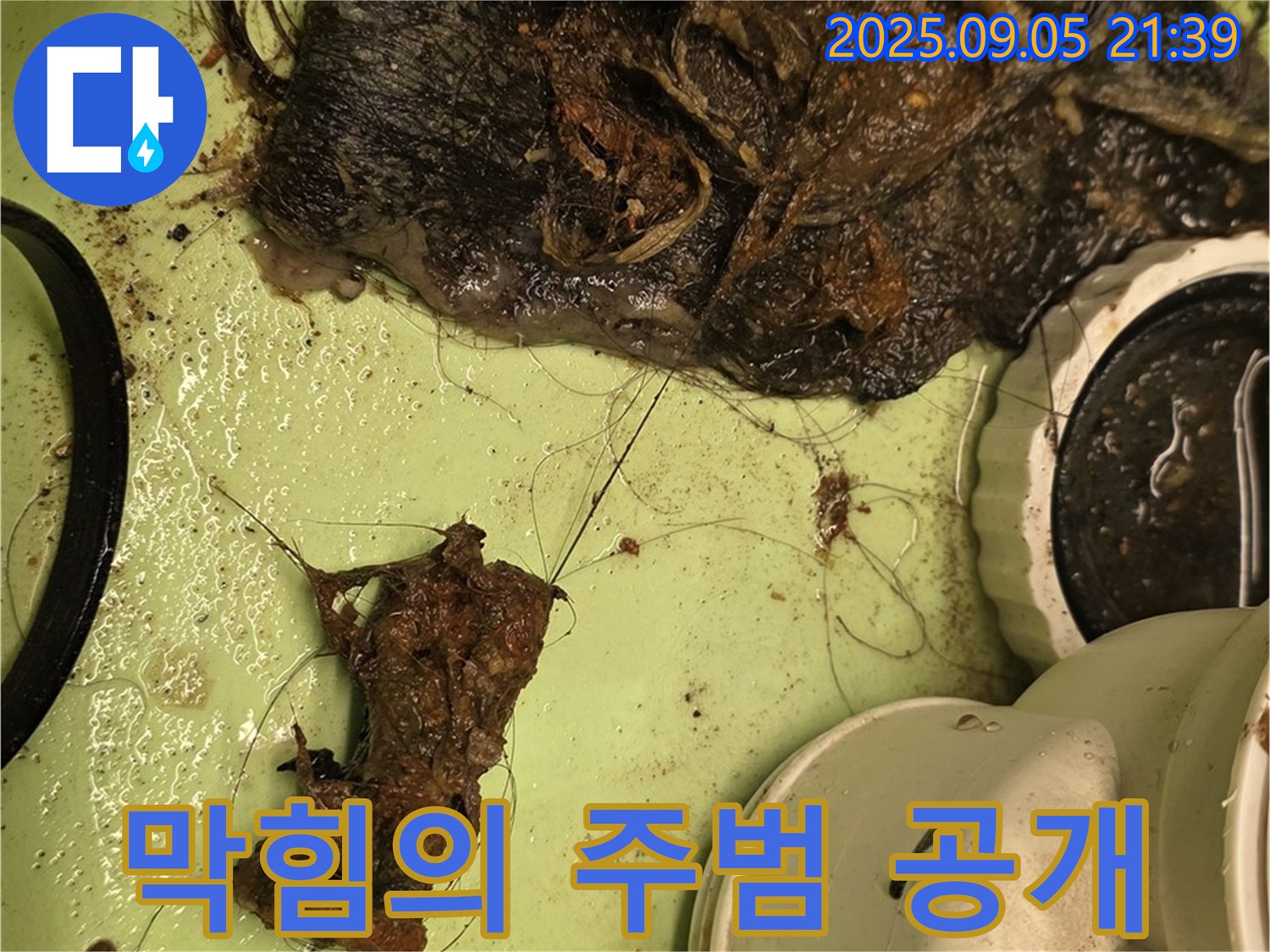 배수구 막힘 - 머리카락과 이물질 - 누수 주범