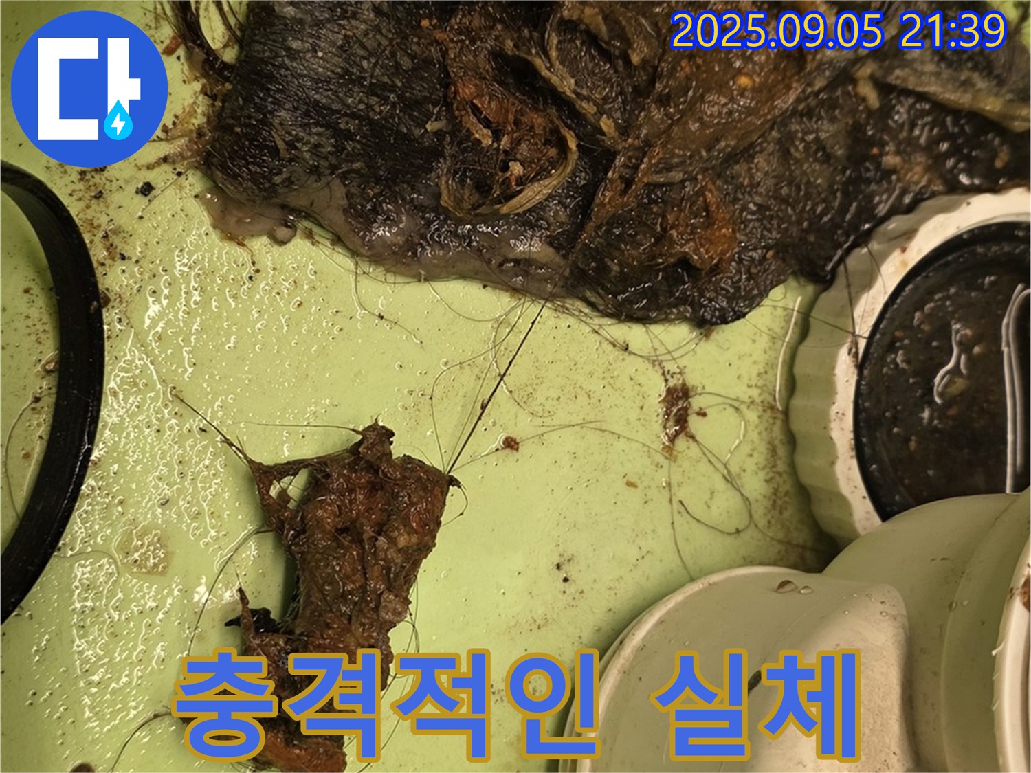 배수구 막힘 - 충격적인 이물질 - 누수 위험