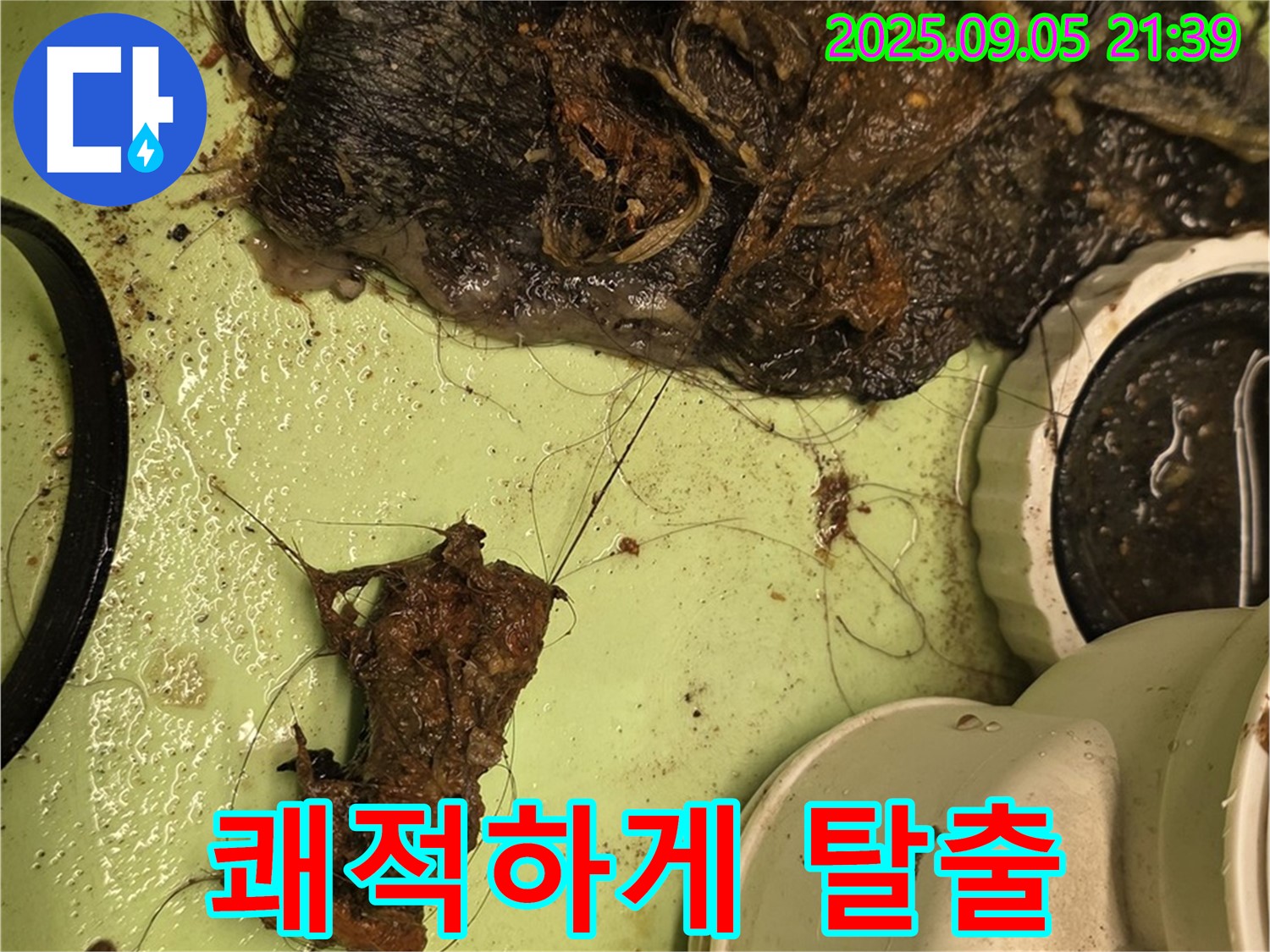 배수구 막힘 - 쾌적한 욕실 - 누수 탈출