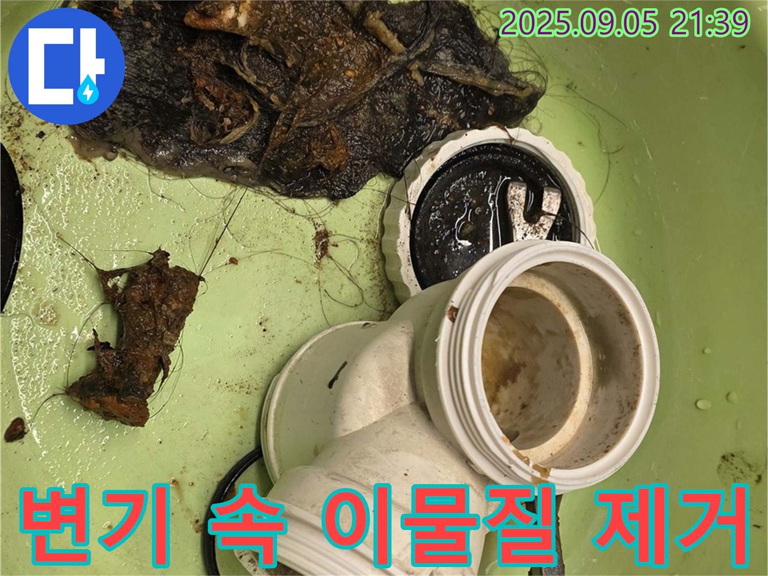 변기 속 이물질 제거 - 깨끗하게 청소된 변기 배수구