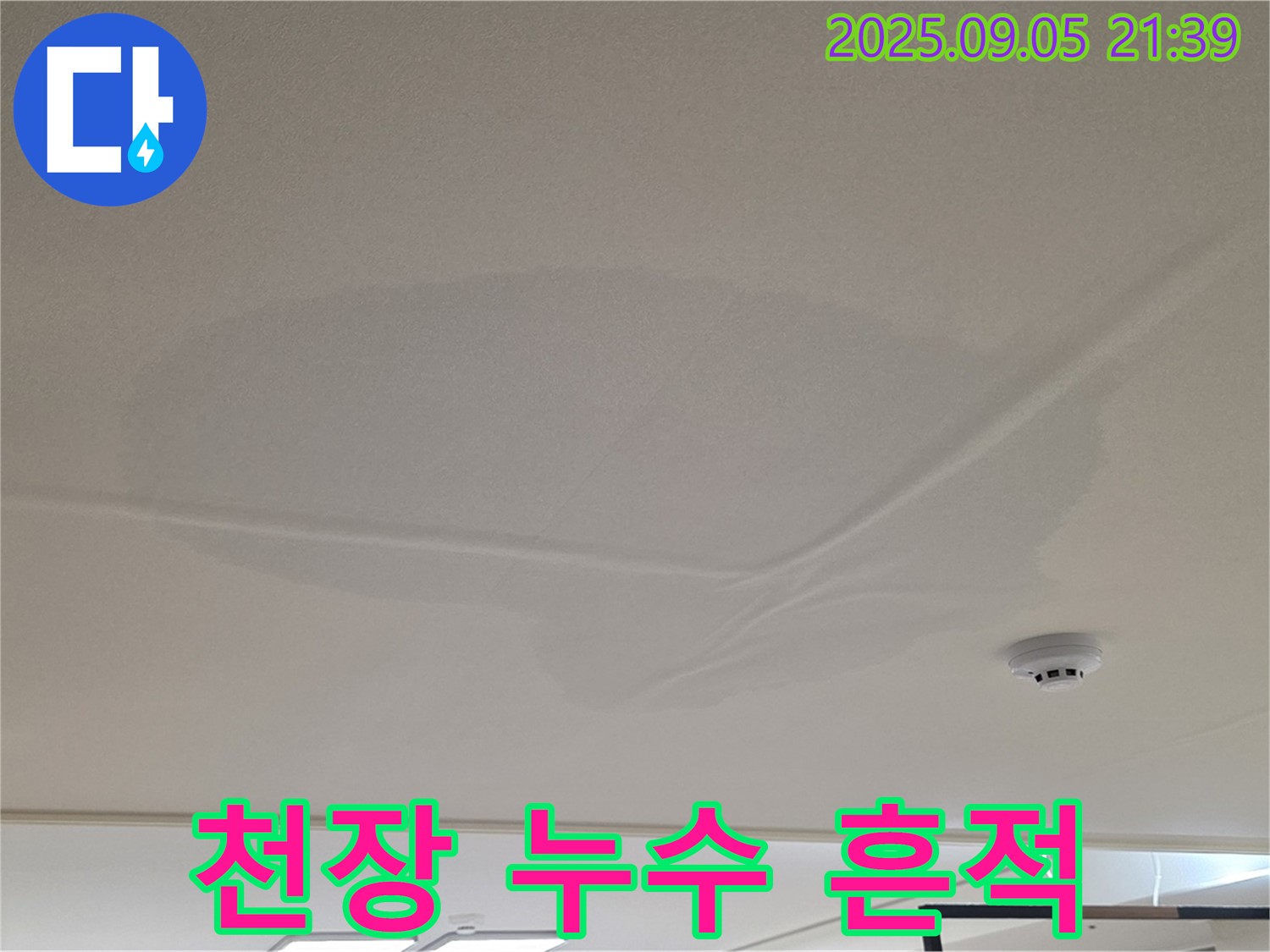 사가정 센트럴아이파크 - 천장 누수 흔적, 젖은 천장
