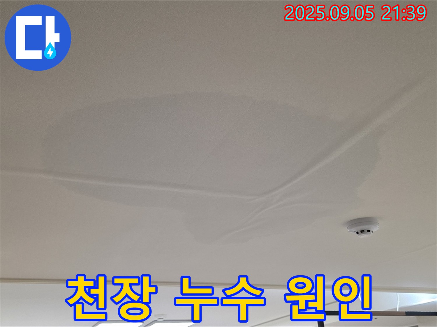 사가정 아파트 누수 - 천장 누수 원인 탐색, 젖은 천장